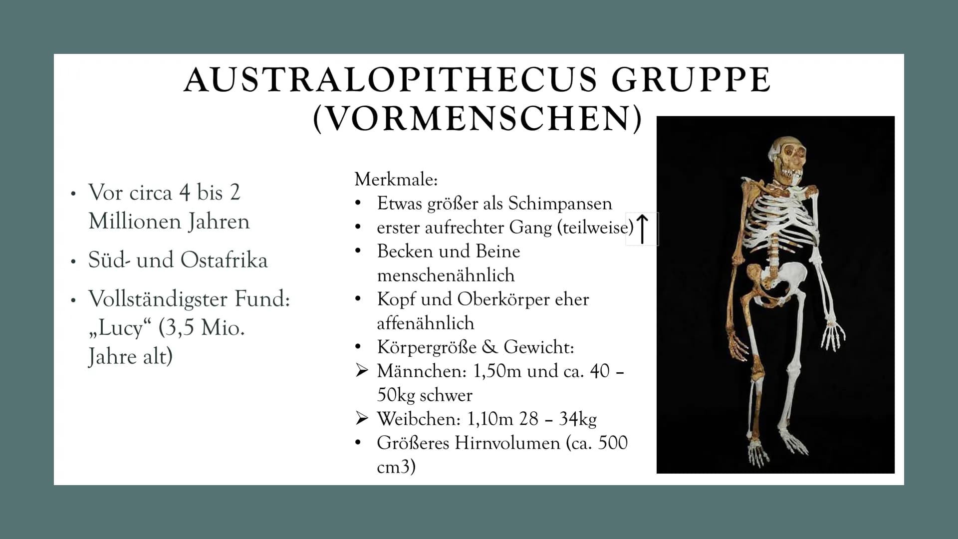 # DIE

# EVOLUTION

# DES

# MENSCHEN

Biologie Leistungskurs # GLIEDERUNG

1. Evolution des Menschen einfach erklärt
2. Der Mensch und der 