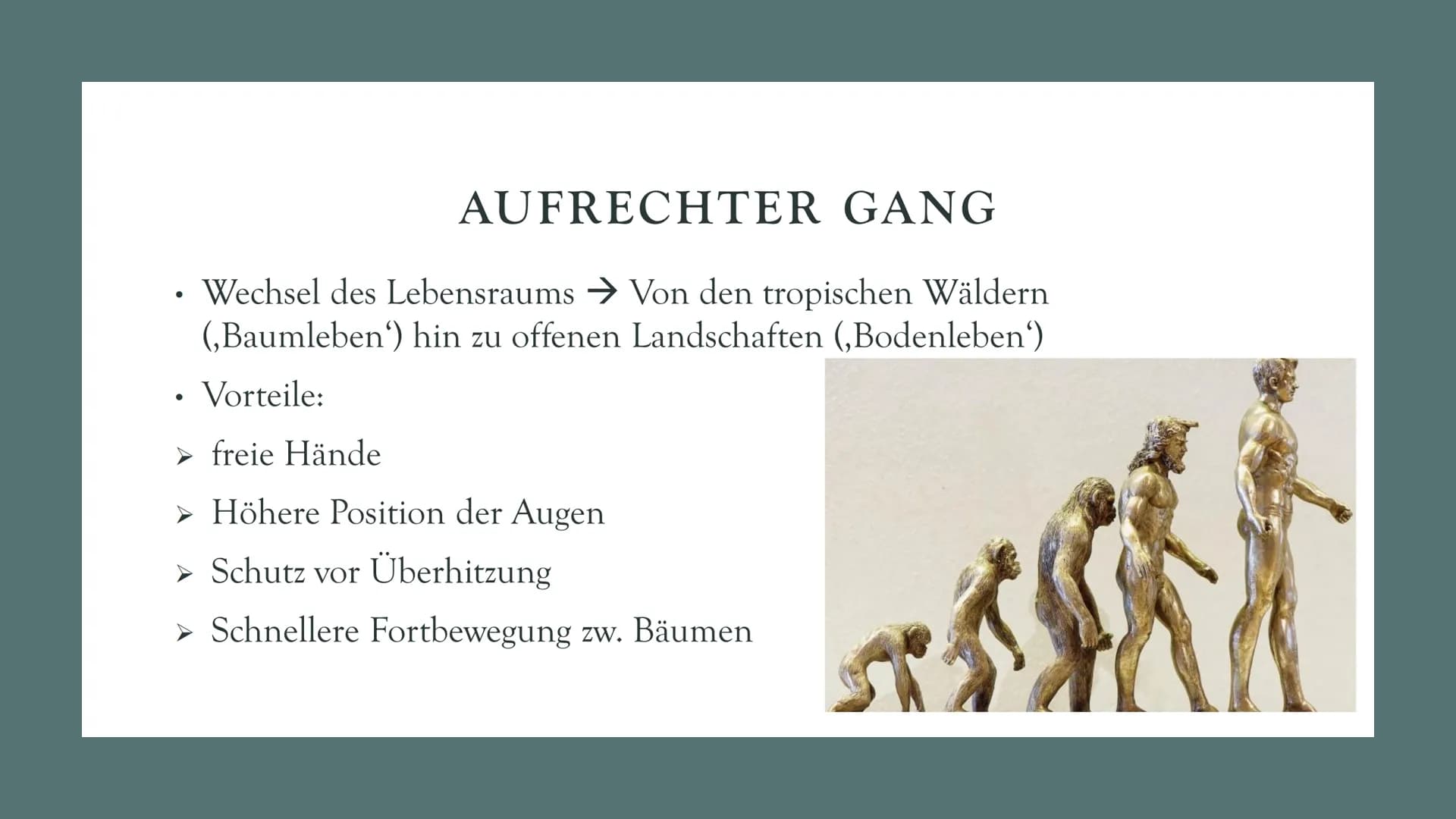 # DIE

# EVOLUTION

# DES

# MENSCHEN

Biologie Leistungskurs # GLIEDERUNG

1. Evolution des Menschen einfach erklärt
2. Der Mensch und der 