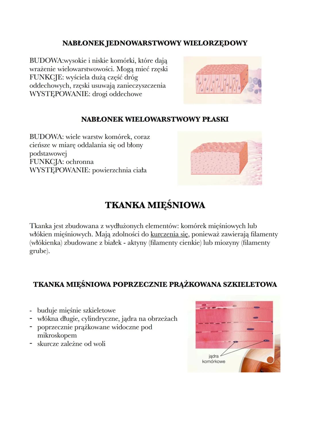 # 1.2 TKANKI: NABŁONKOWA, MIĘŚNIOWA I NERWOWA

TKANKI:
- nabłonkowa
- mięśniowa
- nerwowa
- łączna

TKANKA NABŁONKOWA

Ta tkanka ma zwarty u