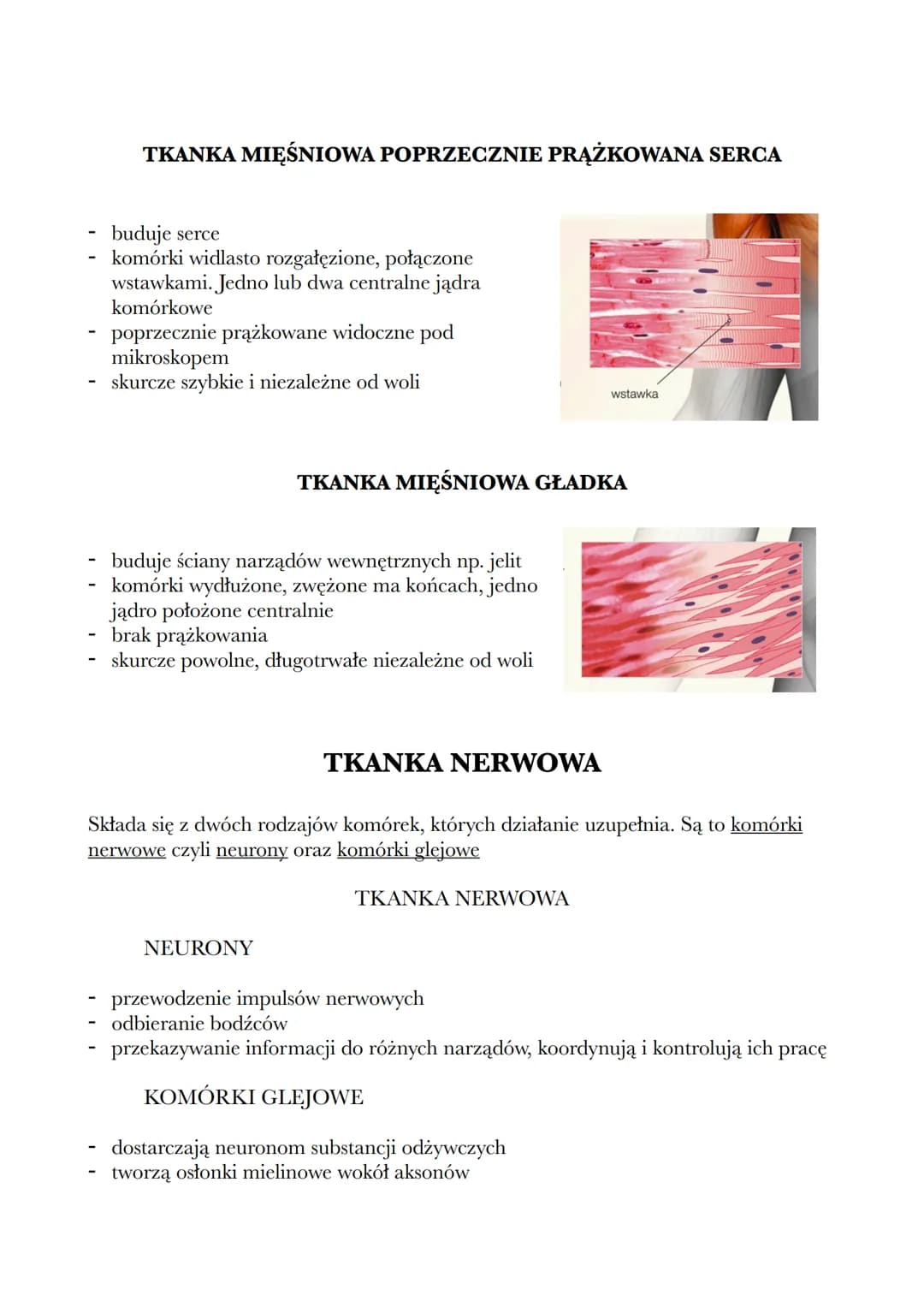 # 1.2 TKANKI: NABŁONKOWA, MIĘŚNIOWA I NERWOWA

TKANKI:
- nabłonkowa
- mięśniowa
- nerwowa
- łączna

TKANKA NABŁONKOWA

Ta tkanka ma zwarty u
