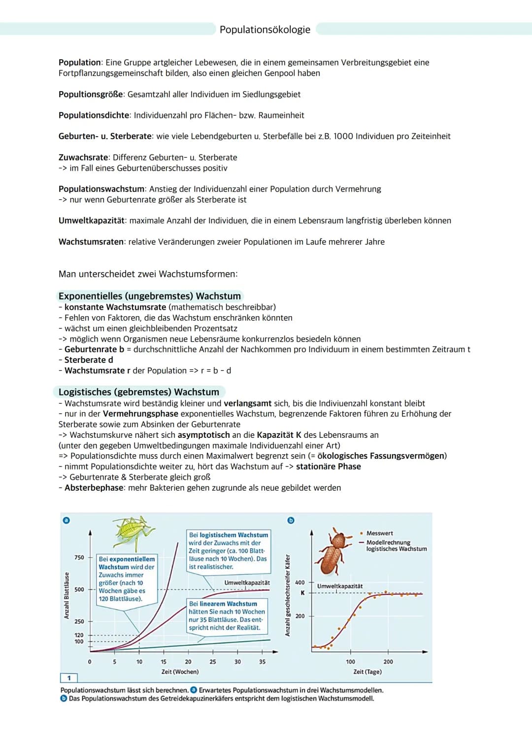 # Ökologie

Ökosystem: Wechselbeziehungen zwischen Organismen und ihrer Umwelt; dynamisches Beziehungsgefüge
aus Biozönose (Lebensgemeinscha