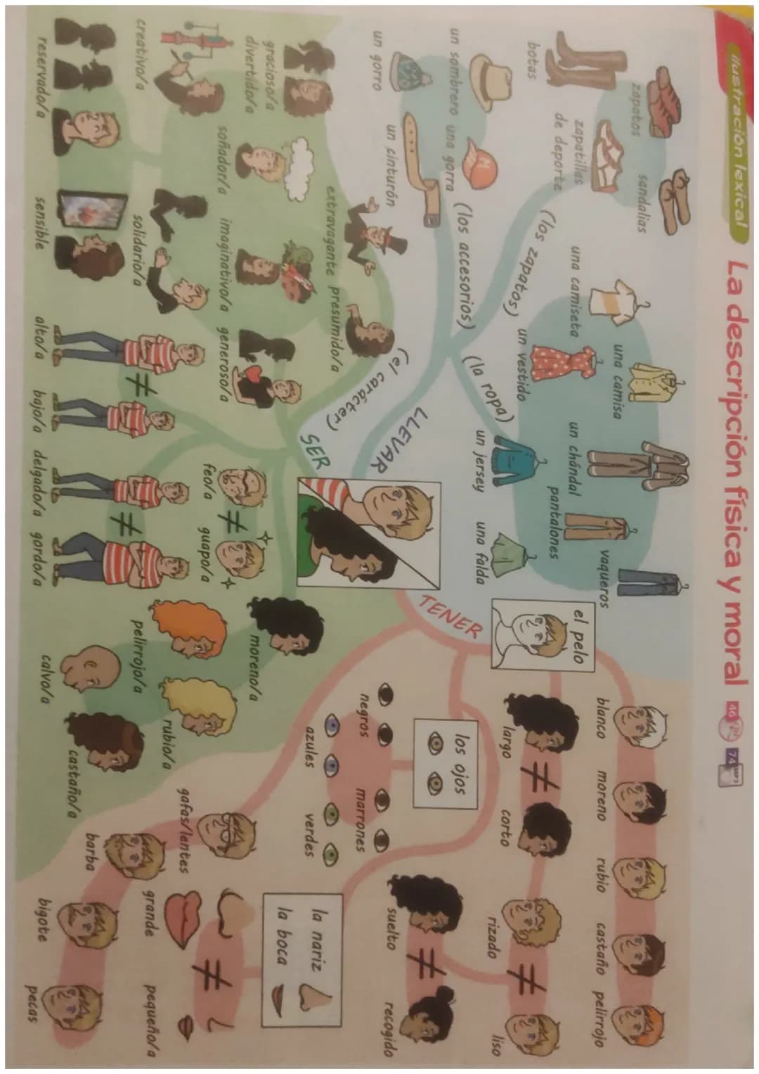 # Ilustración lexical

La descripción física y moral

zapatos
sandalias
botas
zapatillas
una camiseta
de deporte (los zapatos)

un sombrero 