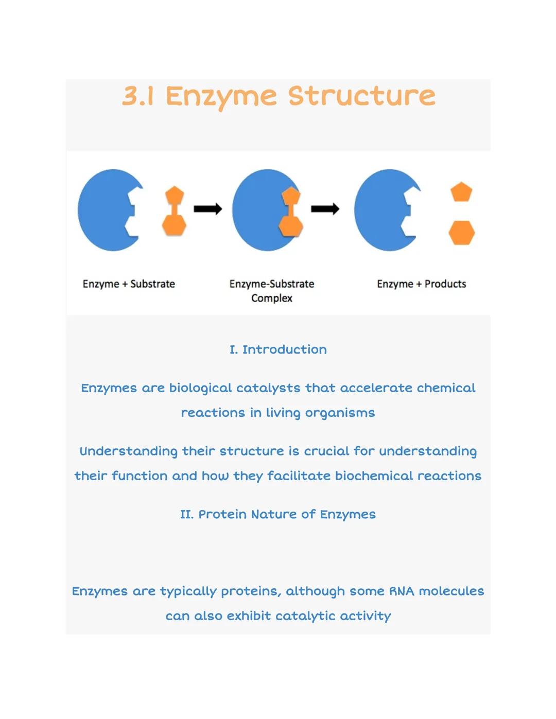 # 3.1 Enzyme Structure

:--:

Enzyme + Substrate

Enzyme-Substrate
Complex

Enzyme + Products

I. Introduction

Enzymes are biological catal