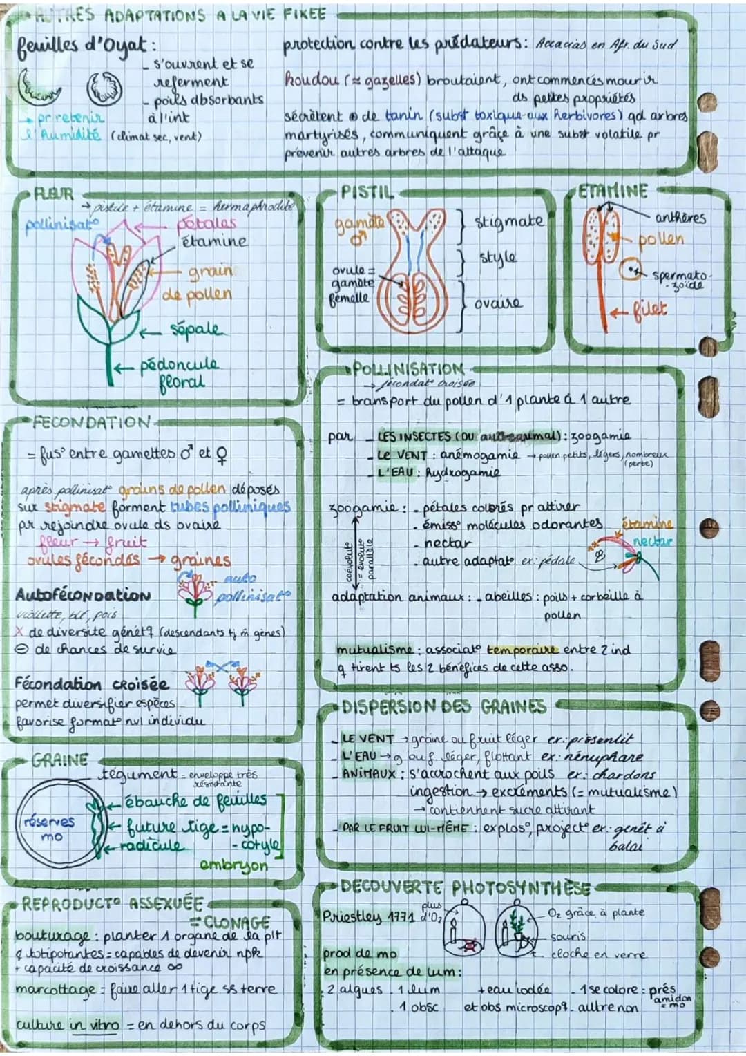 ```markdown
= plantes
les angiospermes feunt
à fleurs

dioxyde de
carbone
CO2
6
lumière Oxygène
02 6
SURFACE FOLIAIRE

→ structure multicouc