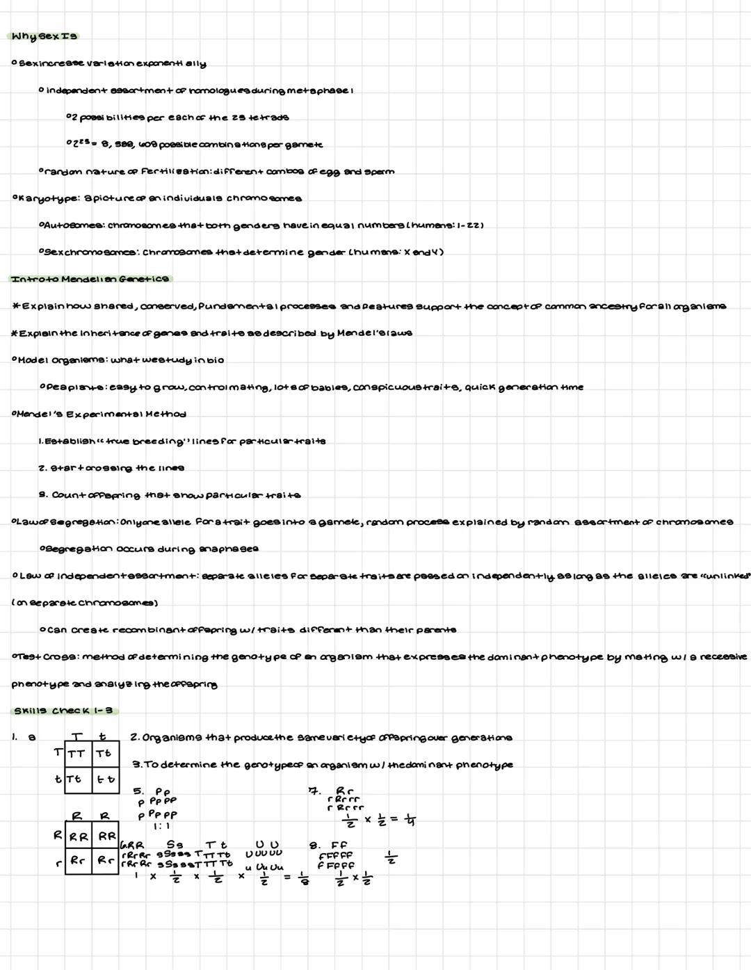 lume 5
Meiosis
*Explainhow meiosisresults in the transmission of chramosanes from one generation to the next
*DeBoribe similarities and/or d