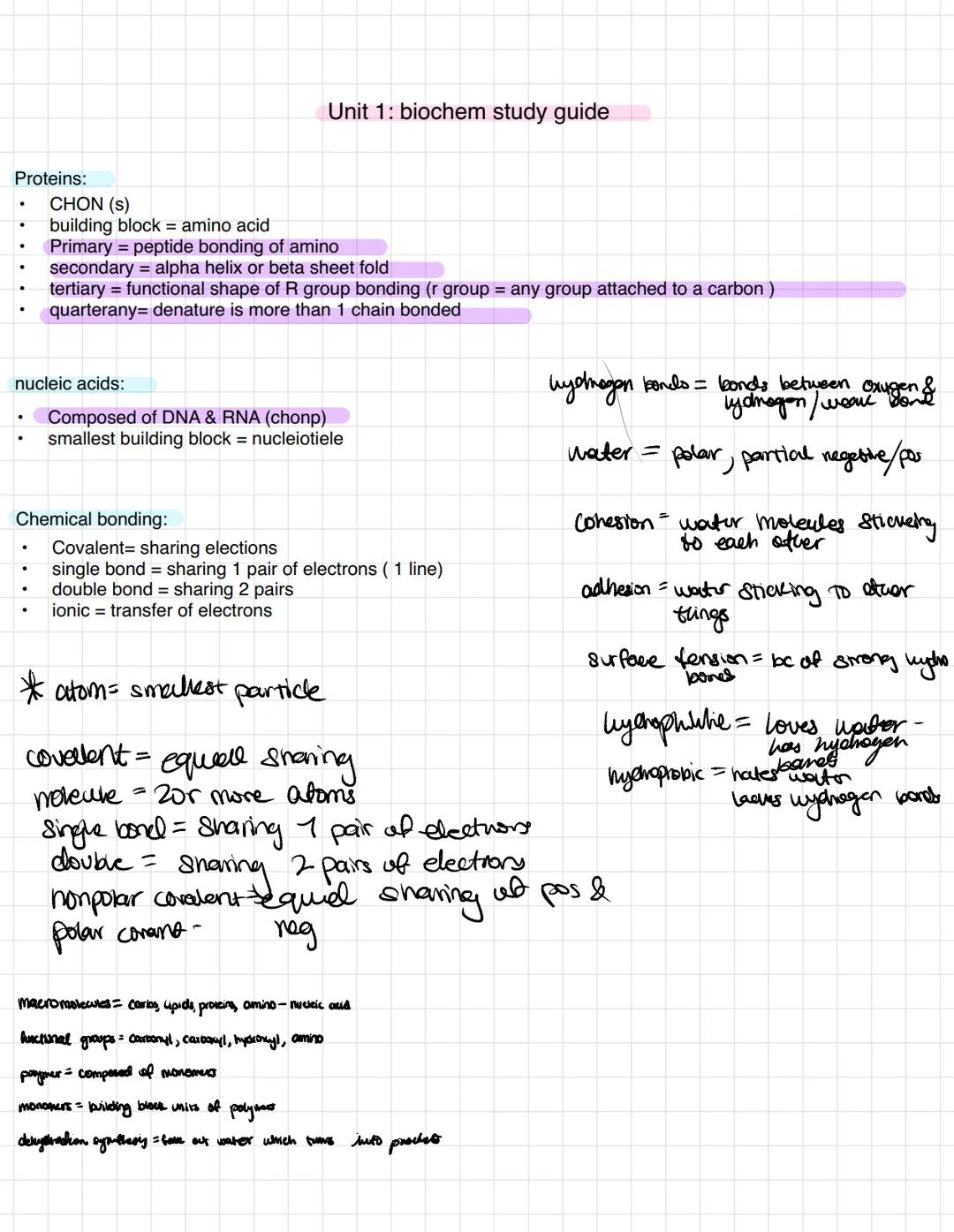 # Chapter 3 Carbon & molecular diversity of life

Proteins include a diversity of structures, resulting in a wide range of functions:

- Pro