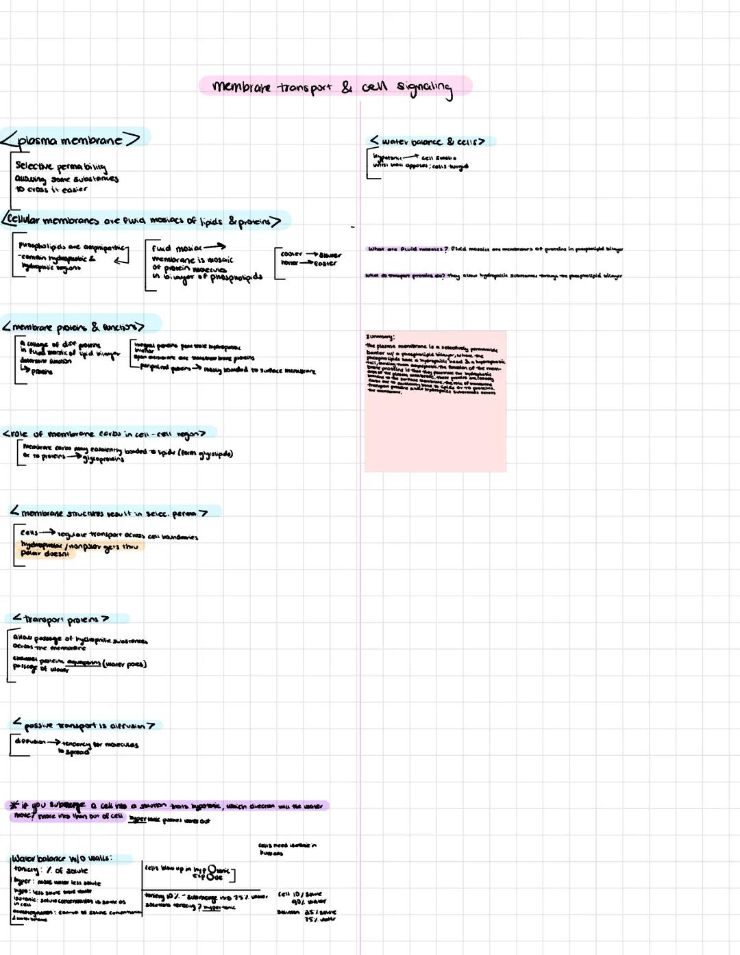 # Chapter 3 Carbon & molecular diversity of life

Proteins include a diversity of structures, resulting in a wide range of functions:

- Pro