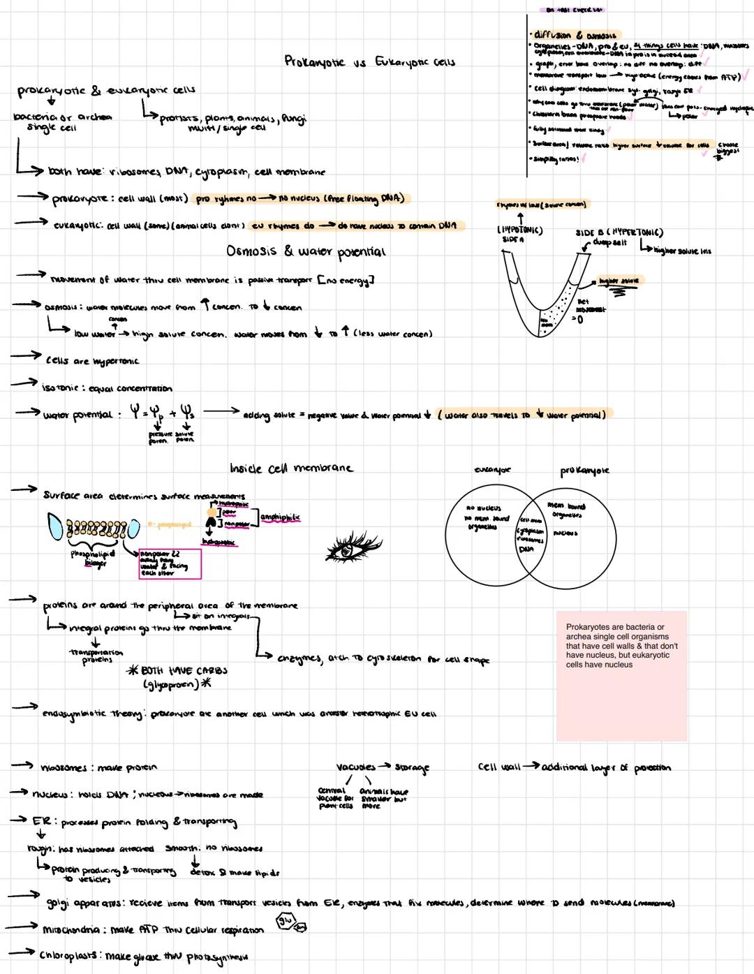 # Chapter 3 Carbon & molecular diversity of life

Proteins include a diversity of structures, resulting in a wide range of functions:

- Pro