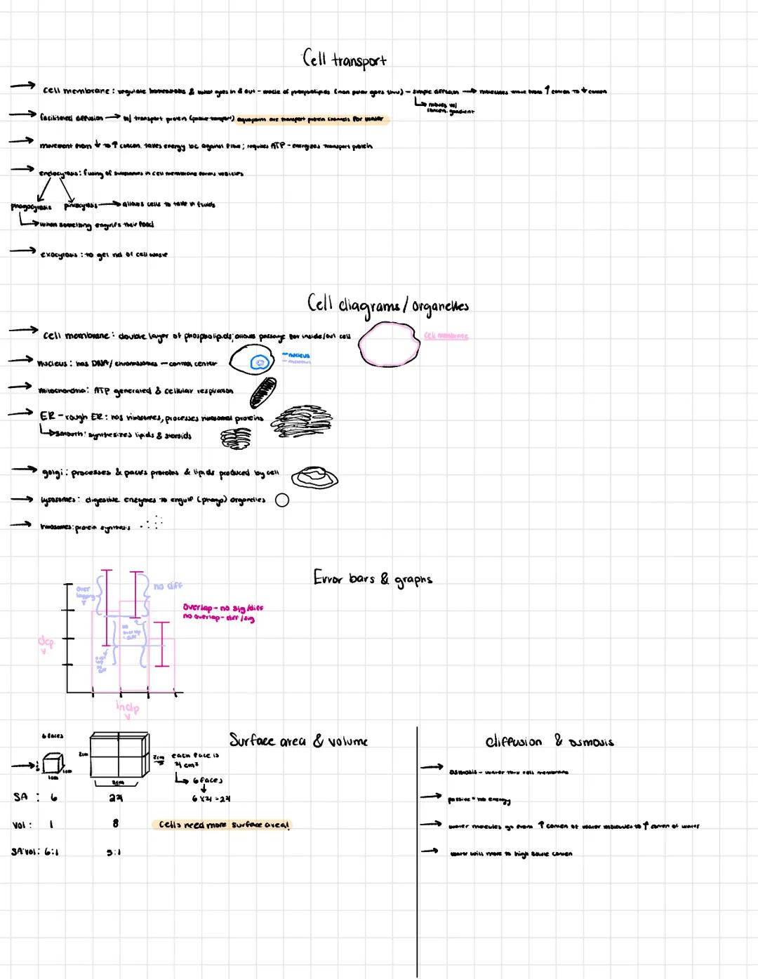 # Chapter 3 Carbon & molecular diversity of life

Proteins include a diversity of structures, resulting in a wide range of functions:

- Pro