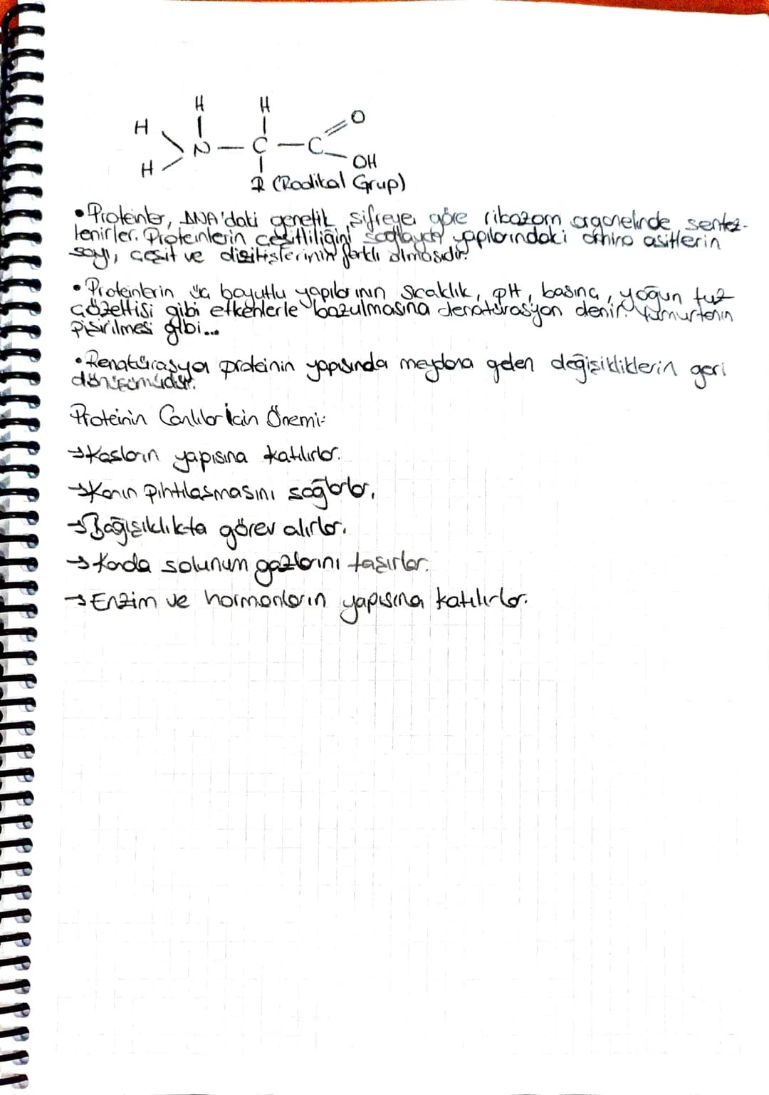Biyoloji-Canlıların Yapısında Julunan
Temel Rilesikler

• Insan Wicudunun yapısında yaklaşık 25 farklı element bulunur.

•En fazla bulunan e