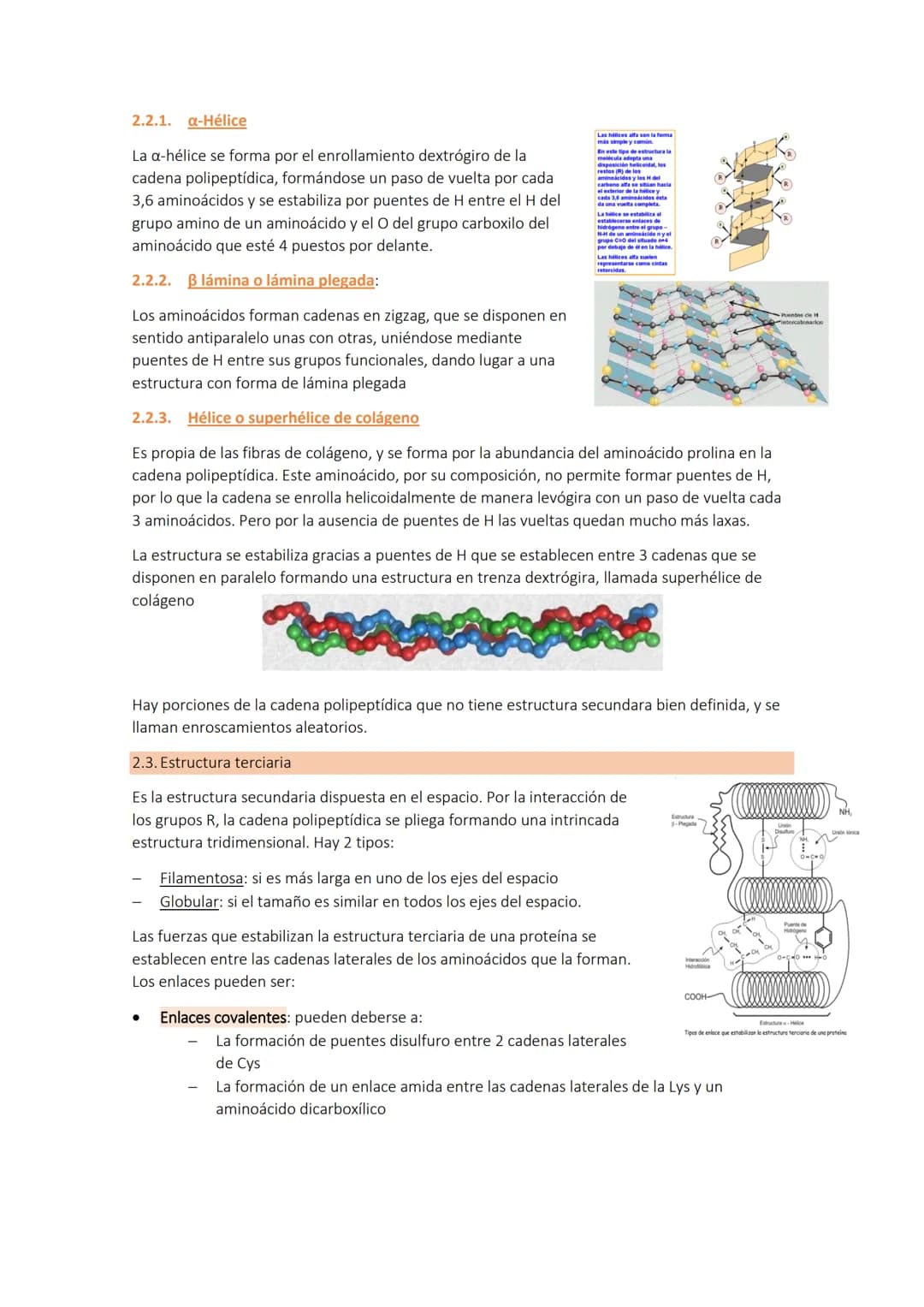 # Tema 4a
LAS PROTEÍNAS

1. CONCEPTO DE PROTEÍNA Y SUS COMPONENTES (AMINOÁCIDOS)

Son biomoléculas orgánicas de elevado peso molecular y est