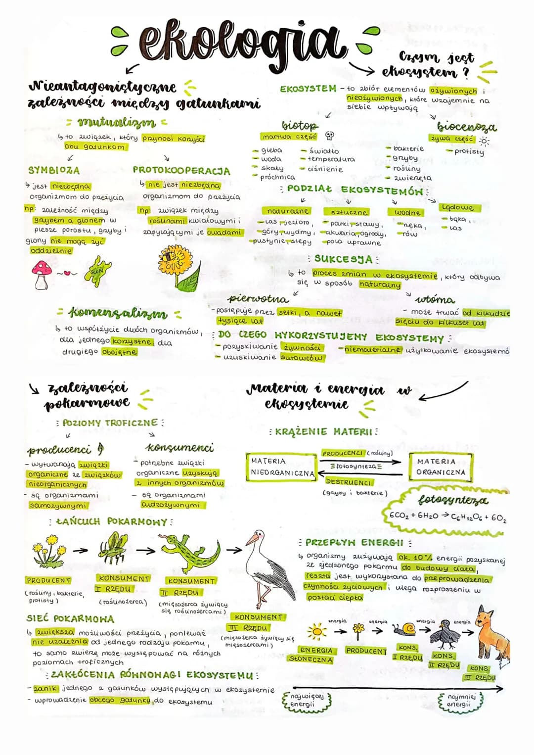 # ekologia

Nieantagonistyczne
zależności między gatunkami

= mutualizm =

↳ to związek, który paynosi konyści
Obu galunkom

SYMBIOZA

↳ jes