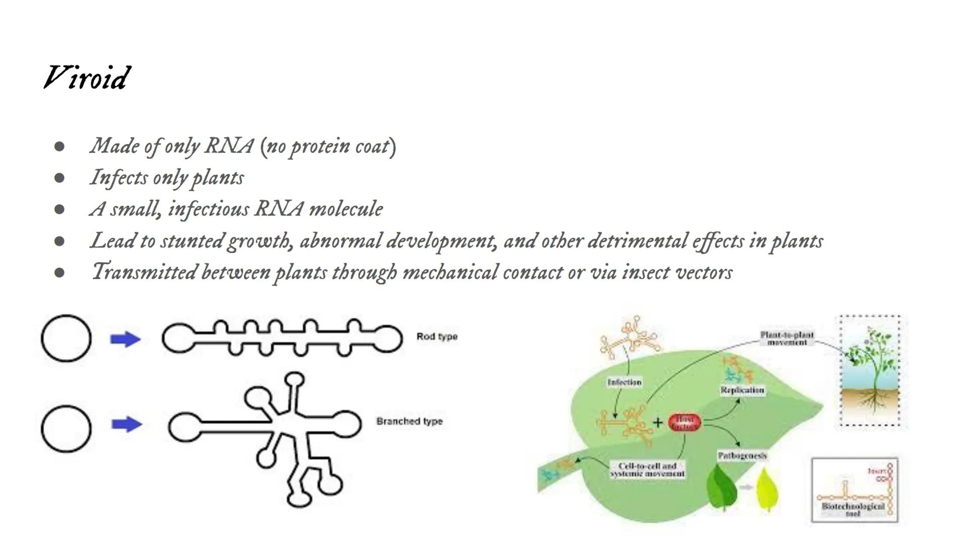 # Intro to Viruses Viruses

• Small, non-living particles
• Made of either DNA or RNA & are surrounded by a protein coat
• Can only be broke