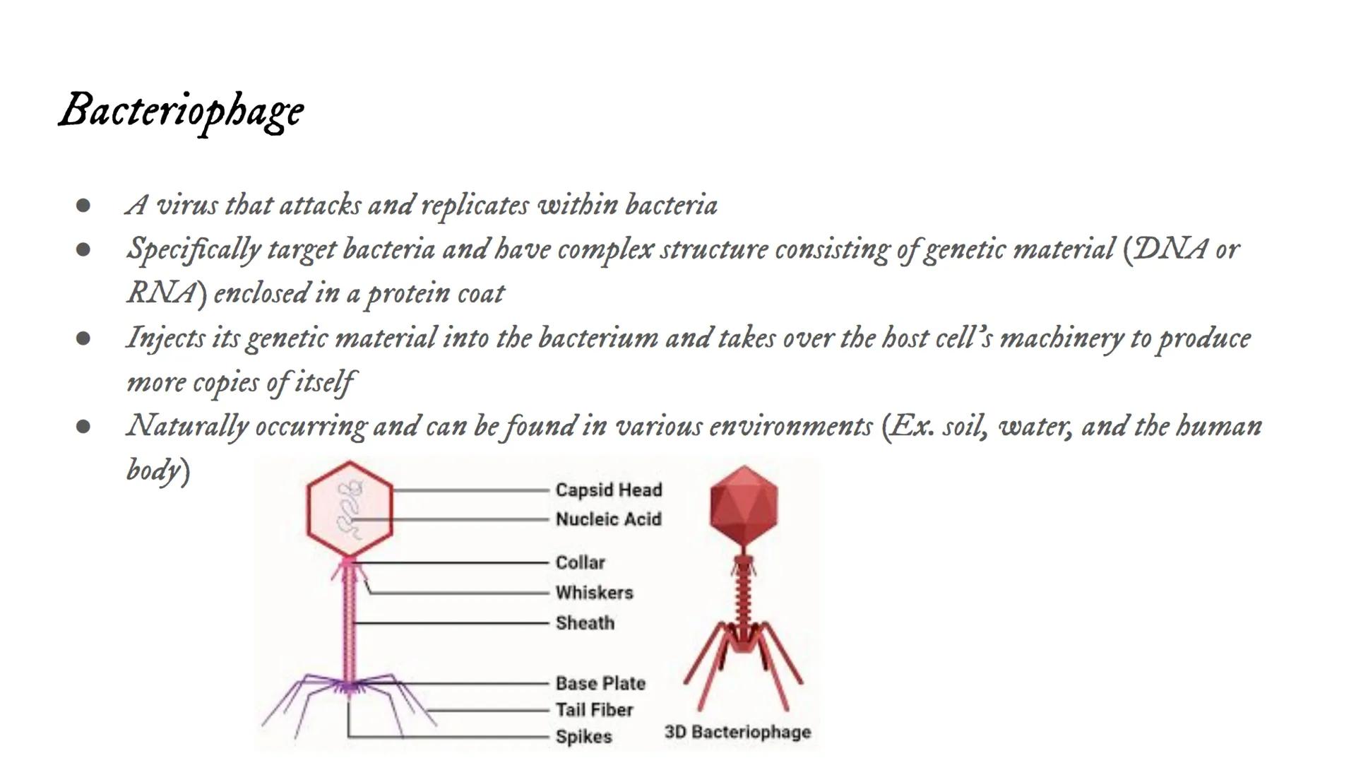 # Intro to Viruses Viruses

• Small, non-living particles
• Made of either DNA or RNA & are surrounded by a protein coat
• Can only be broke