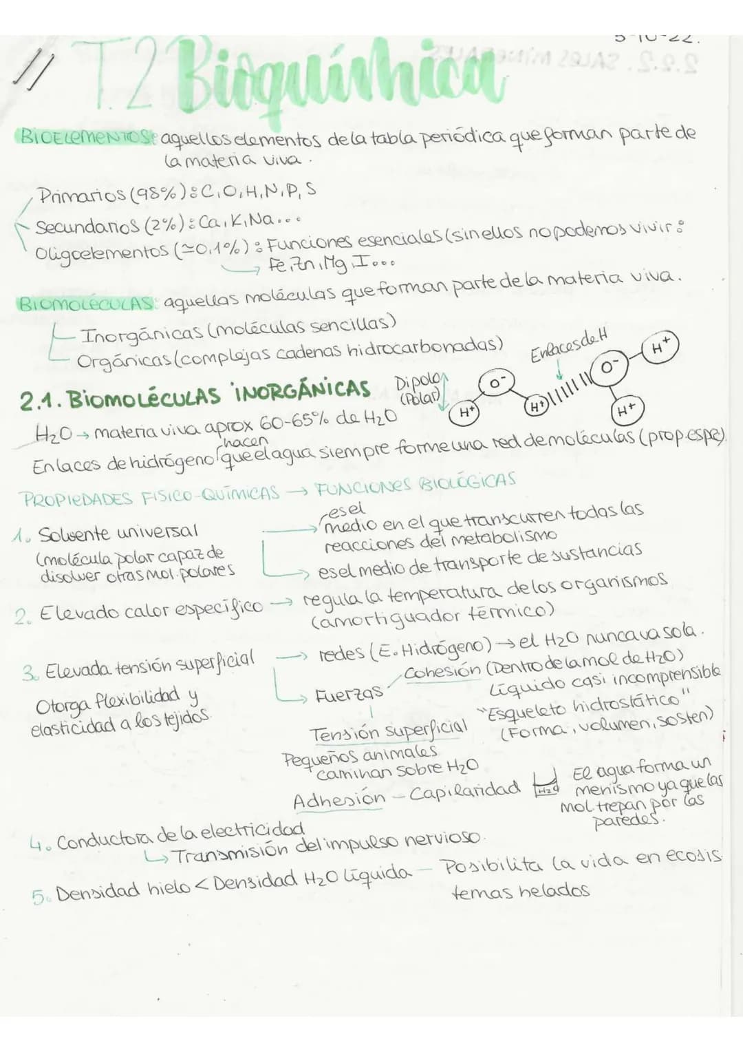 //
T2 Birguíshica
3-10-22.
29.९.९
BICELEMENTOS: aquellos elementos de la tabla periódica que forman parte de
la materia viva.
Primarios (98%