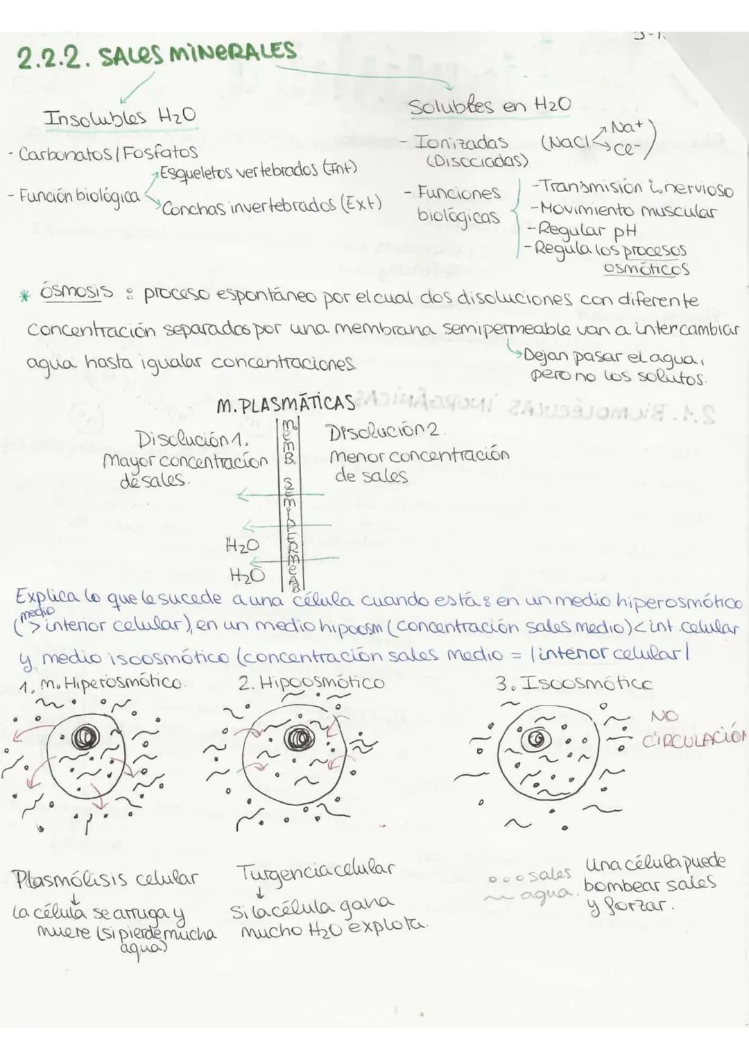 //
T2 Birguíshica
3-10-22.
29.९.९
BICELEMENTOS: aquellos elementos de la tabla periódica que forman parte de
la materia viva.
Primarios (98%