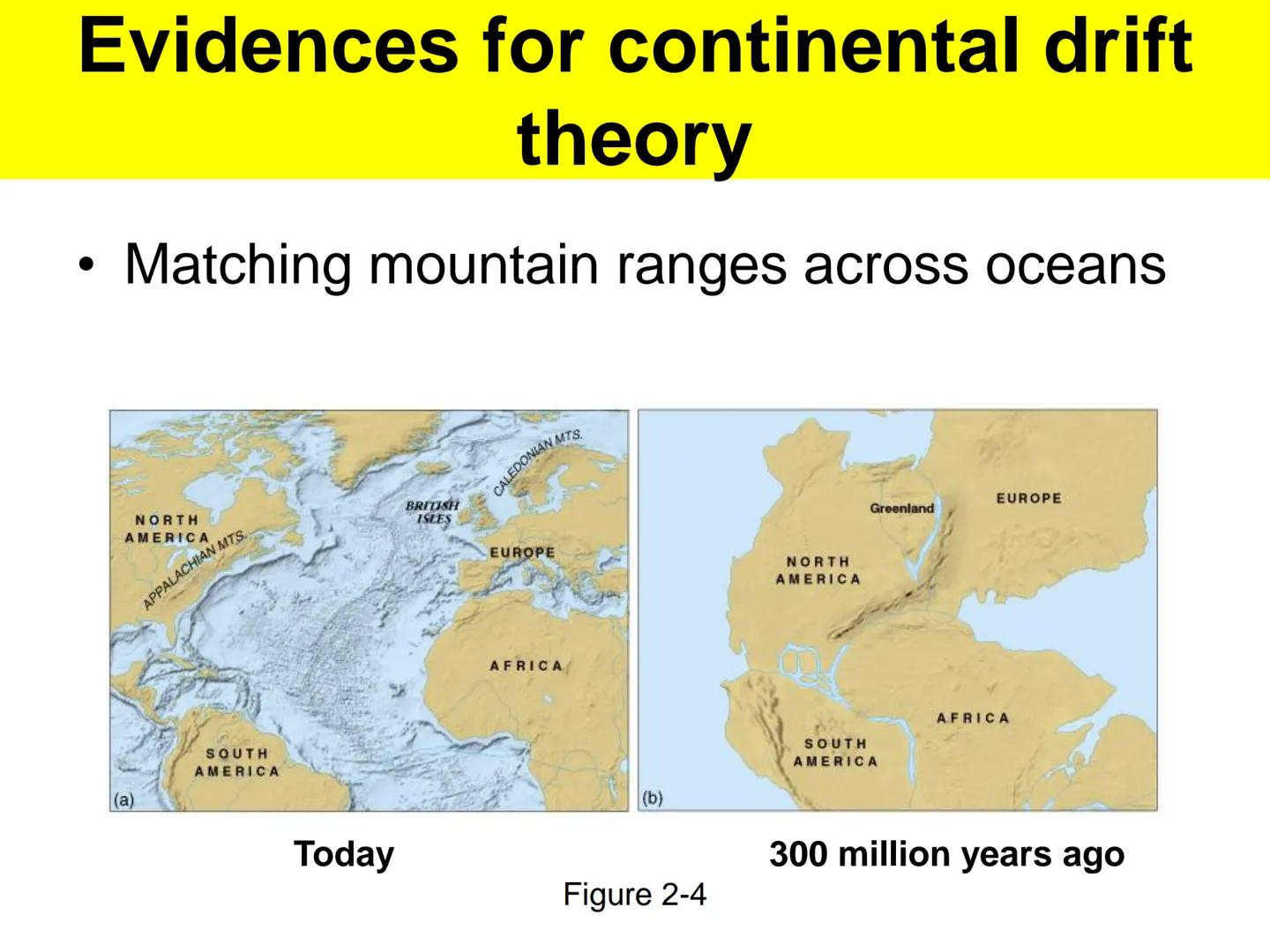 - a German
meteorologist and
geophysicist
-
first to advance the
idea of mobile
continents in 1912
-
identified several
lines of evidence to