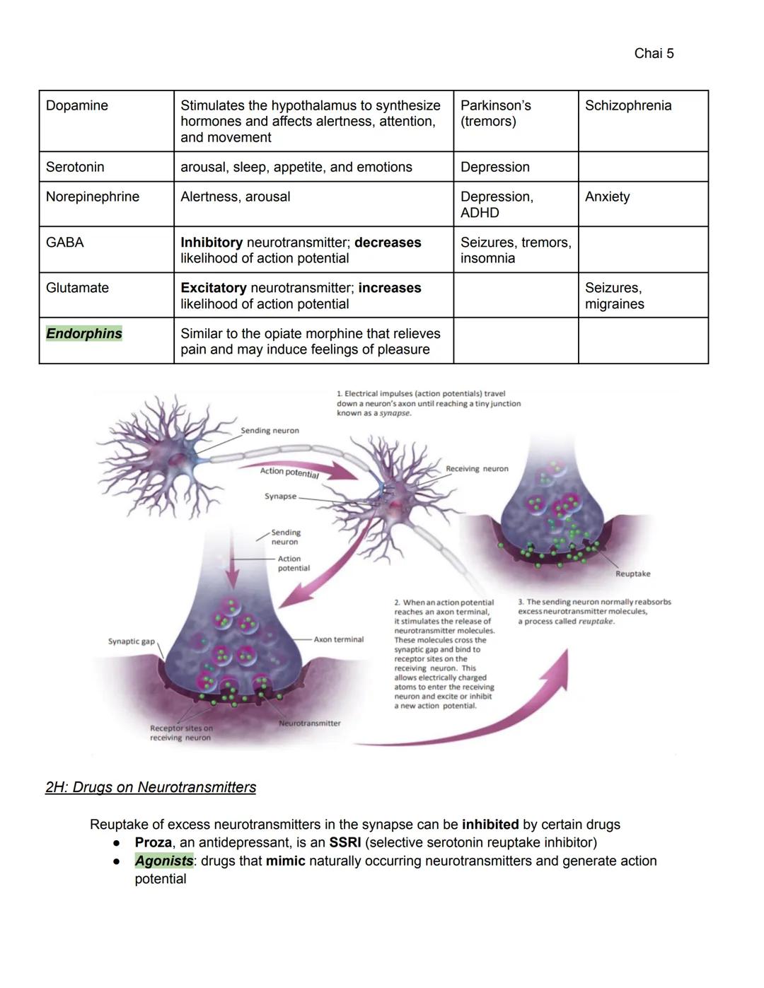 Chai 1

Unit 2: Biological Bases of Behavior (8-10%)

2A-C: Heredity, Environment, Evolution

*   **Heredity**: genetically transmitted or t