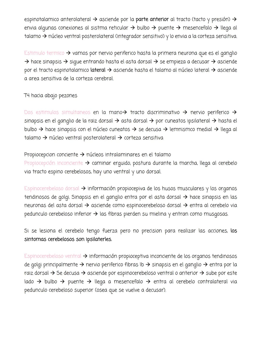 # médula

Tiene forma cilíndrica, se extiende entre las vertebras, tiene sustancia blanca y sustancia
gris. La blanca en la periferia y la g