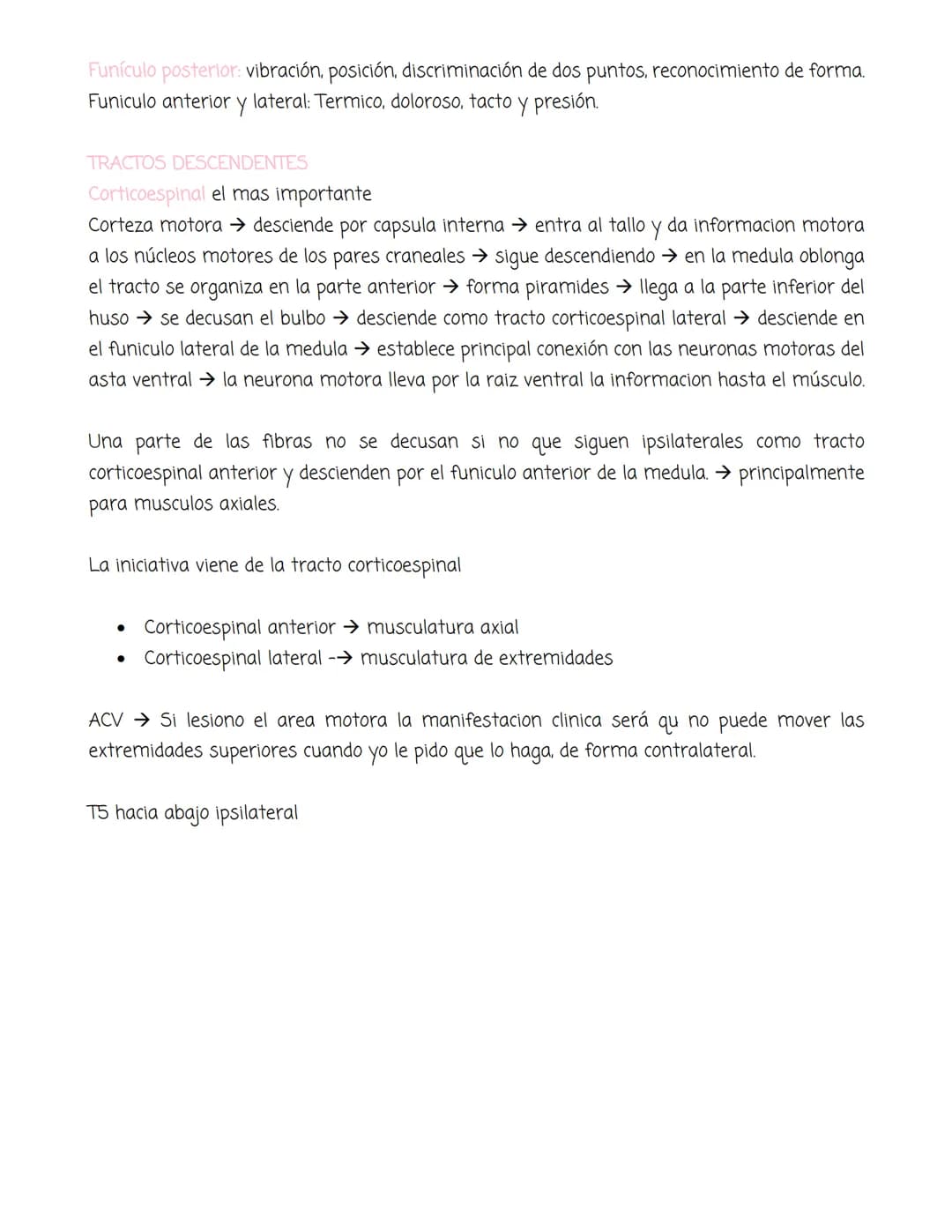 # médula

Tiene forma cilíndrica, se extiende entre las vertebras, tiene sustancia blanca y sustancia
gris. La blanca en la periferia y la g