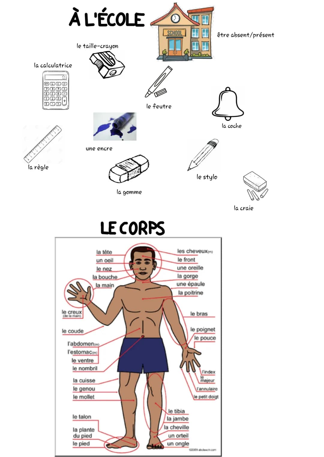 ~~ FÜR DELF ~~ # SE PRESENTER

1. indiquer son nom:
Je m'appelle.../Mon nom est.../prénom est.../ Je suis...

2. parler de son âge (et de so