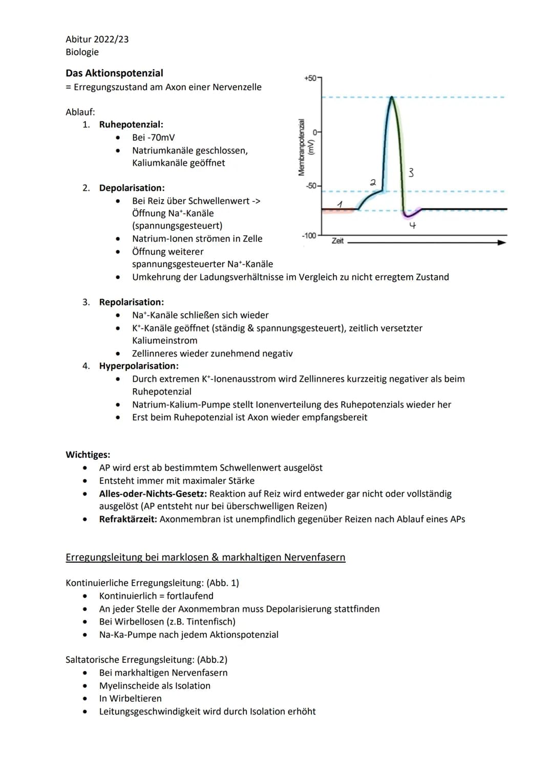 Abitur 2022/23
Biologie

LPE 4 Steuerungs- und Regelungsvorgänge
1. Nervenphysiologie
 a. Bau von Sinnes- und Nervenzellen
 b. Ruhe- und Akt