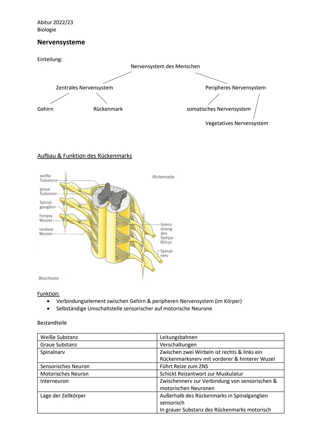 Abitur 2022/23
Biologie

LPE 4 Steuerungs- und Regelungsvorgänge
1. Nervenphysiologie
 a. Bau von Sinnes- und Nervenzellen
 b. Ruhe- und Akt