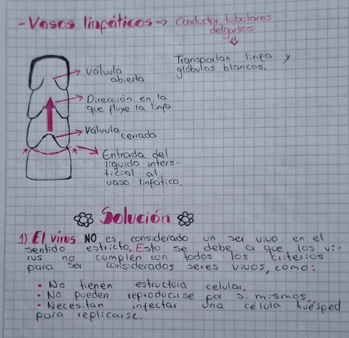 Secuencia 13 El sistema inmune
del ser humano
Biología
¿Cómo está conformado
el sistema inmune?
El sistema inmune protege al cuerpo ya que e