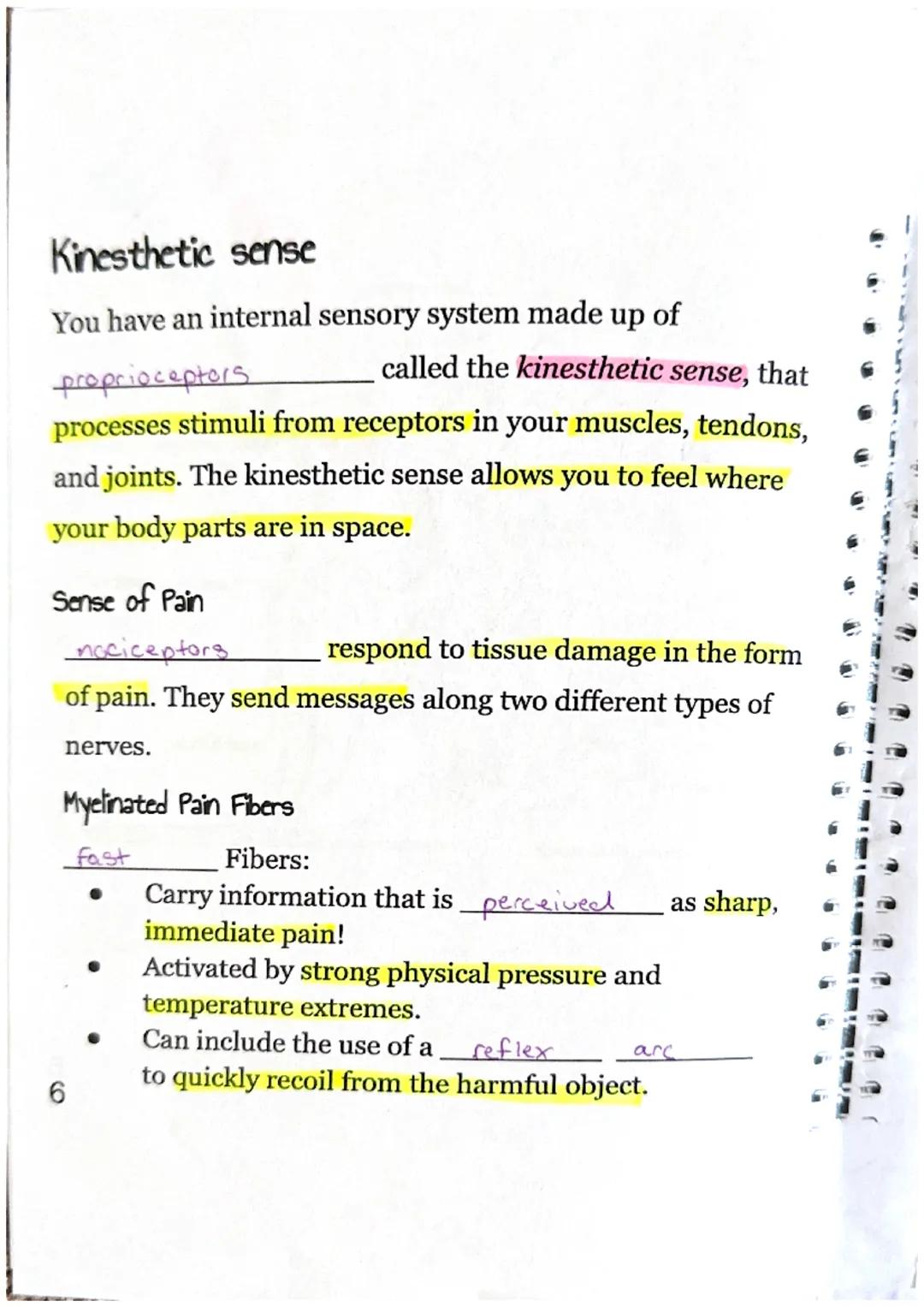 Sensory Receptors
What is a sensory receptor?
a newon designed

Sensory receptors can be classified into six different
types.

| Type of Rec