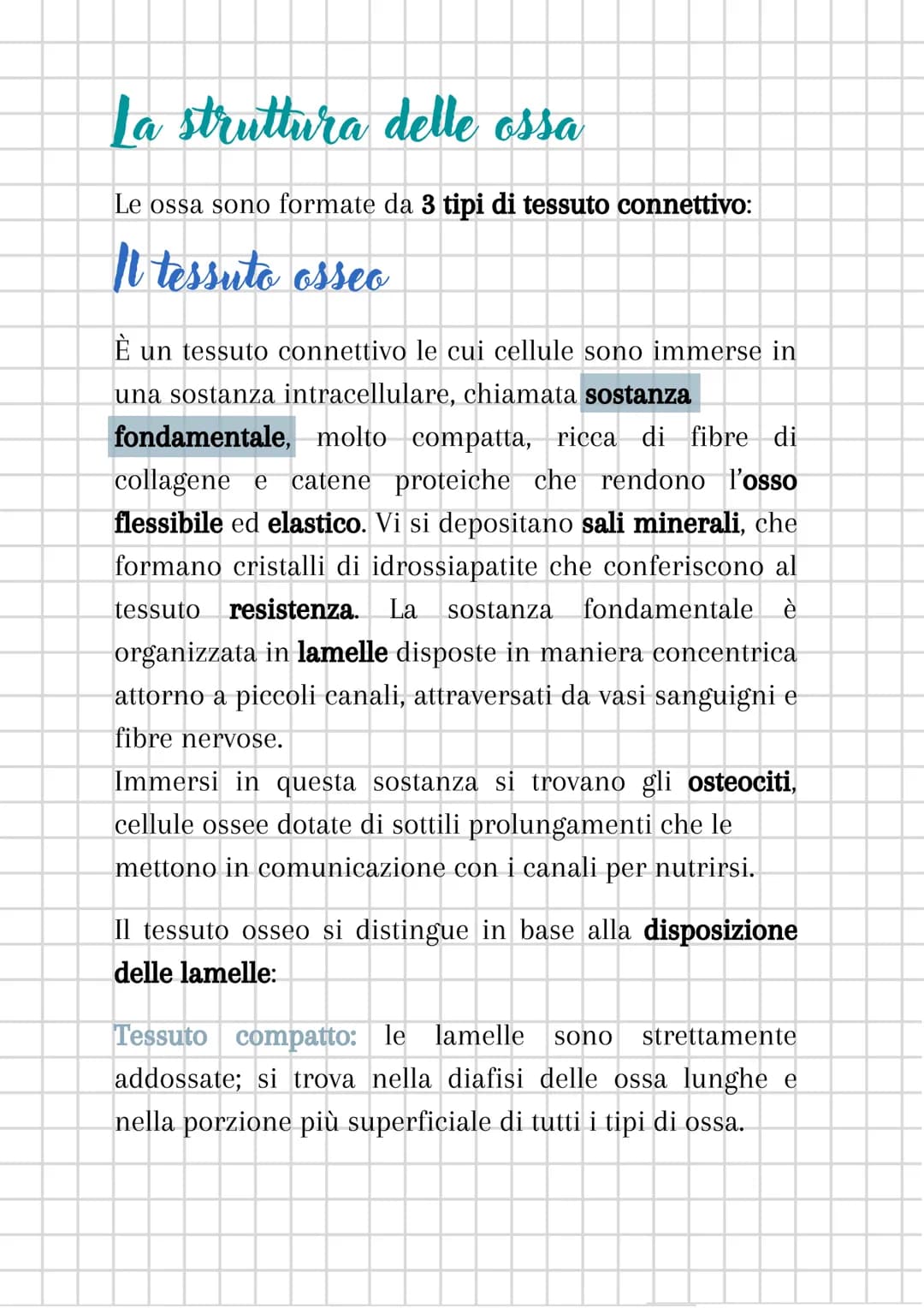 # L'apparato scheletrico

L'apparato scheletrico è composto dall'unione di tessuti
diversi che danno forma alle ossa, le quali insieme
forma