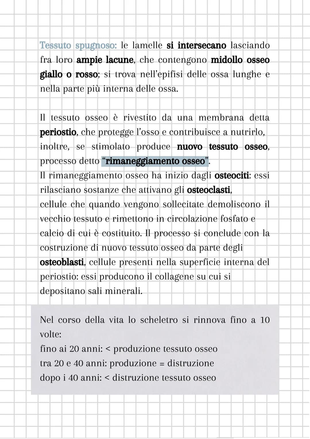 # L'apparato scheletrico

L'apparato scheletrico è composto dall'unione di tessuti
diversi che danno forma alle ossa, le quali insieme
forma