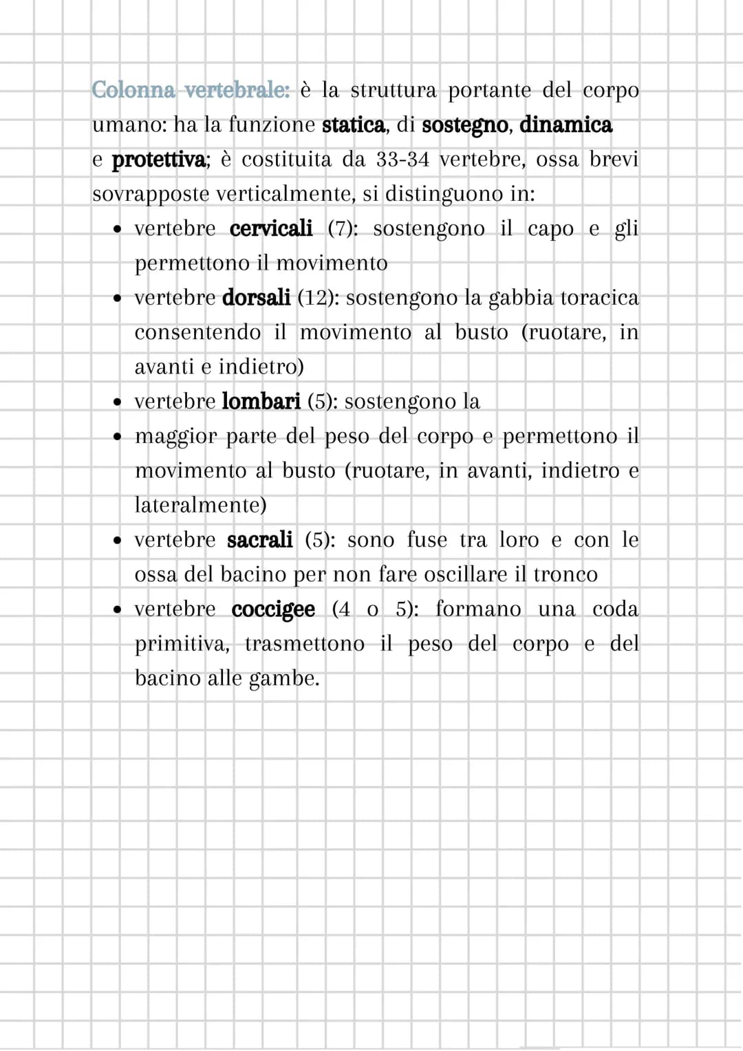 # L'apparato scheletrico

L'apparato scheletrico è composto dall'unione di tessuti
diversi che danno forma alle ossa, le quali insieme
forma