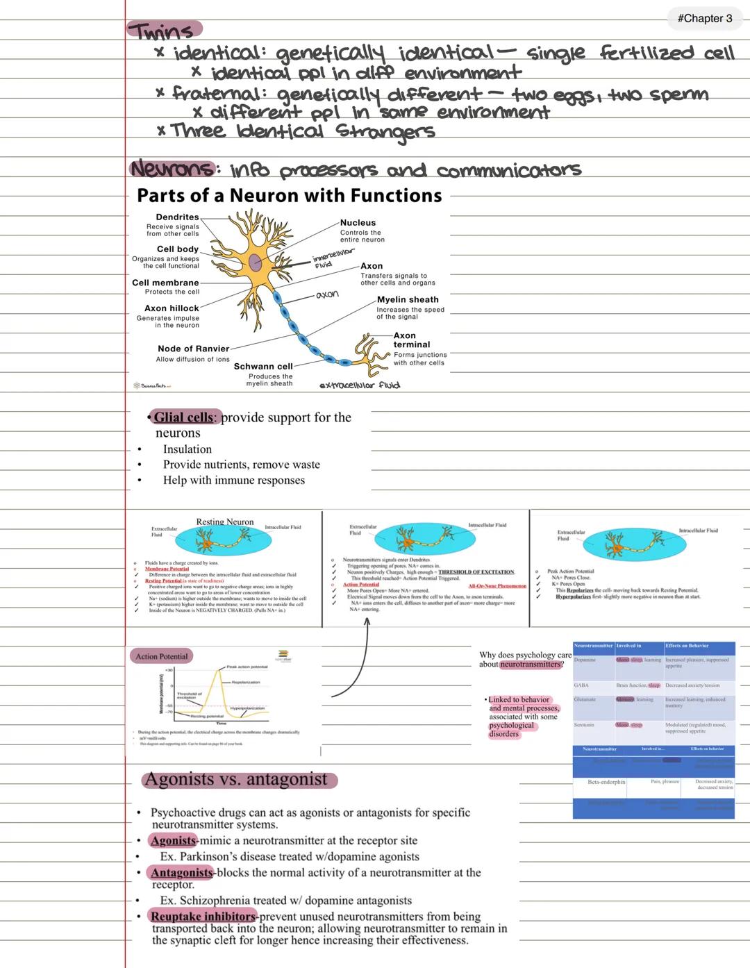 Chpl
Introduction to Psychology
#Chapter 1
psychology: refers to the scientific study of the
mind and behaviors
* psychologists use the scie