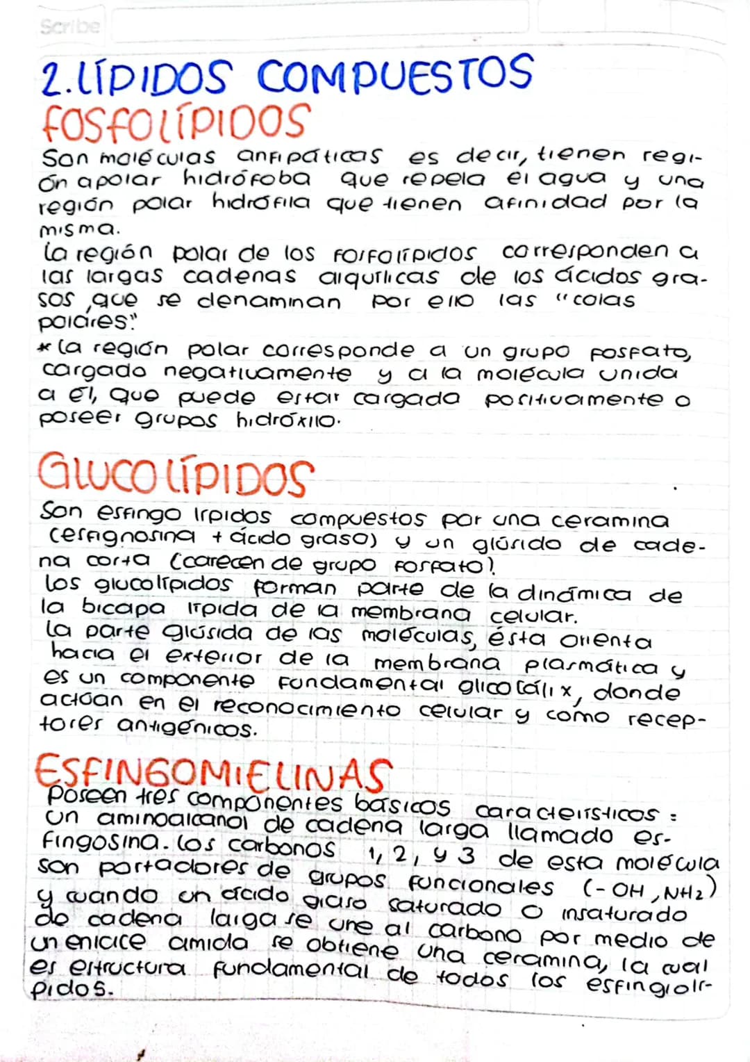 Scribe

2. LIPIDOS COMPUESTOS
FOSFOLIPIDOS
Son malé culas anfipáticas es decir, tienen regi-
On apoiar hidrófoba que repela el agua y una
re