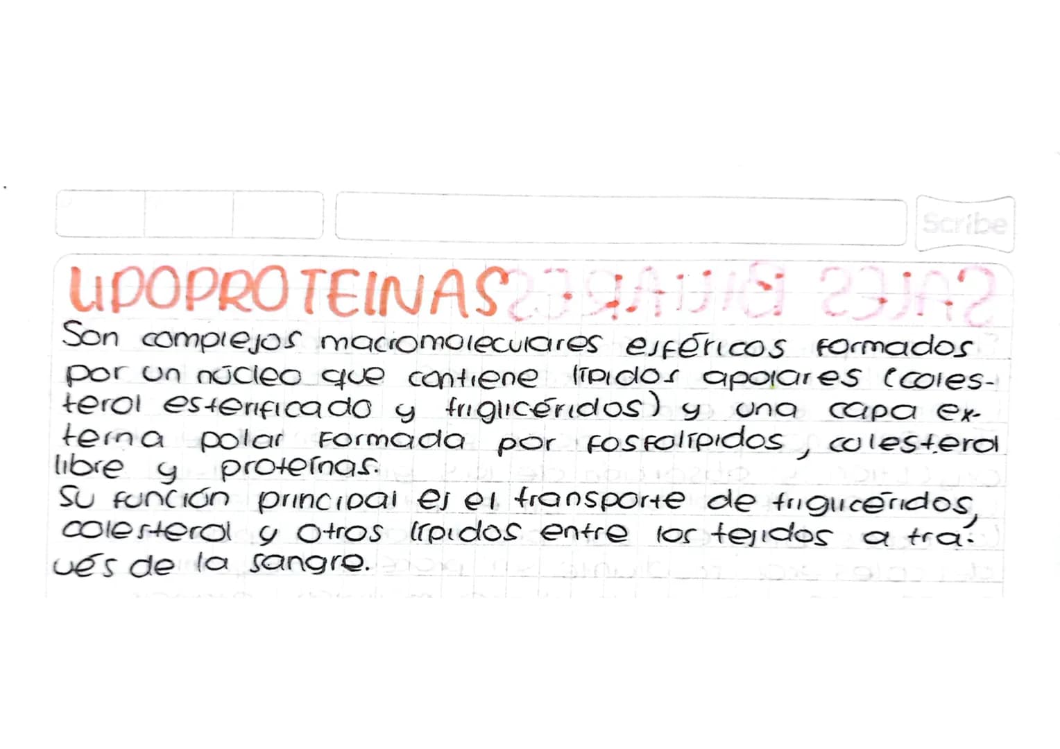 Scribe

2. LIPIDOS COMPUESTOS
FOSFOLIPIDOS
Son malé culas anfipáticas es decir, tienen regi-
On apoiar hidrófoba que repela el agua y una
re