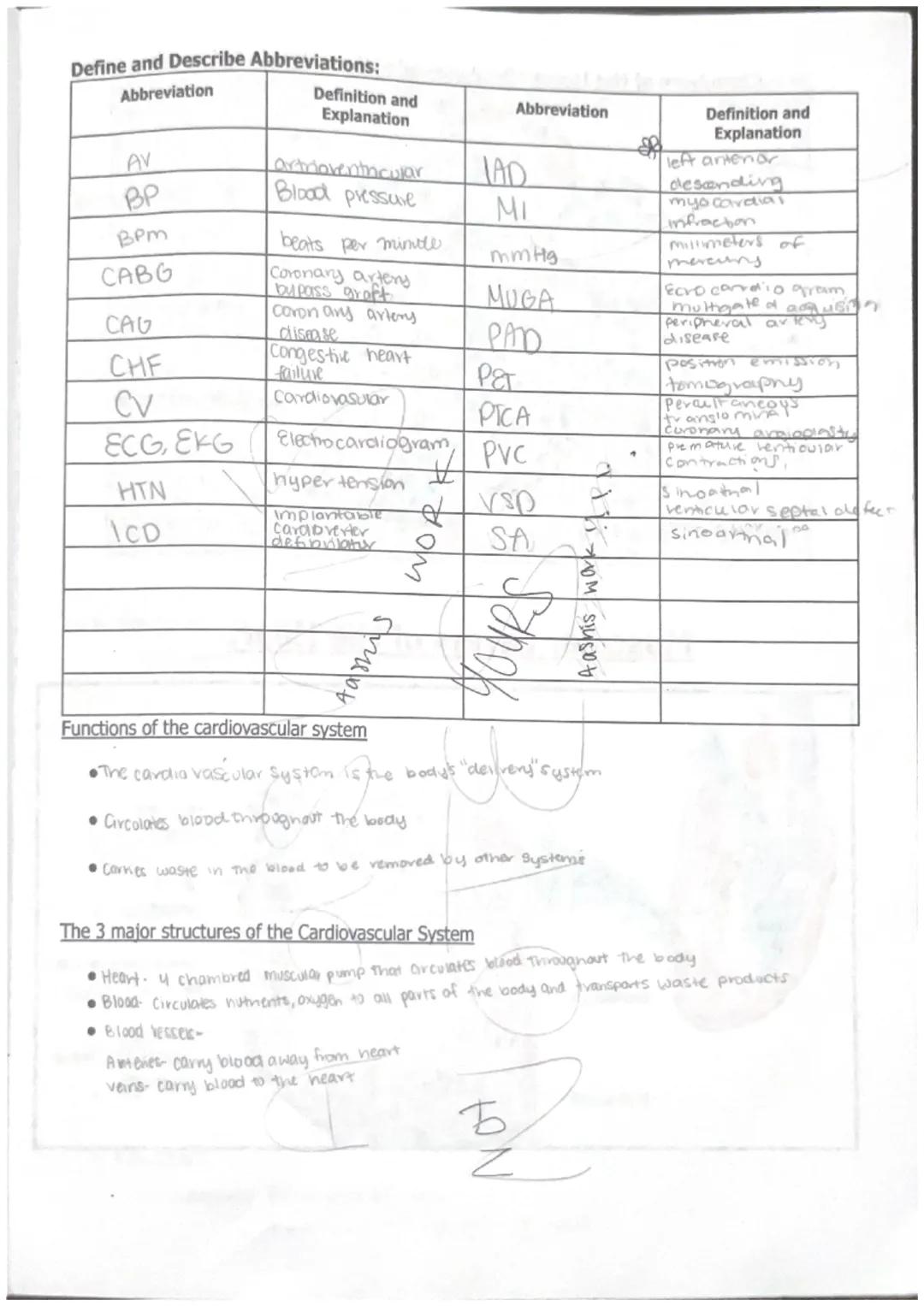 int
Unit 0 WPA-TOP-unit-O-WPA
Starts impluse
where the SA is located
- creats Connections
also starts the pmeess
Aortic arch
Pulmonary trunk