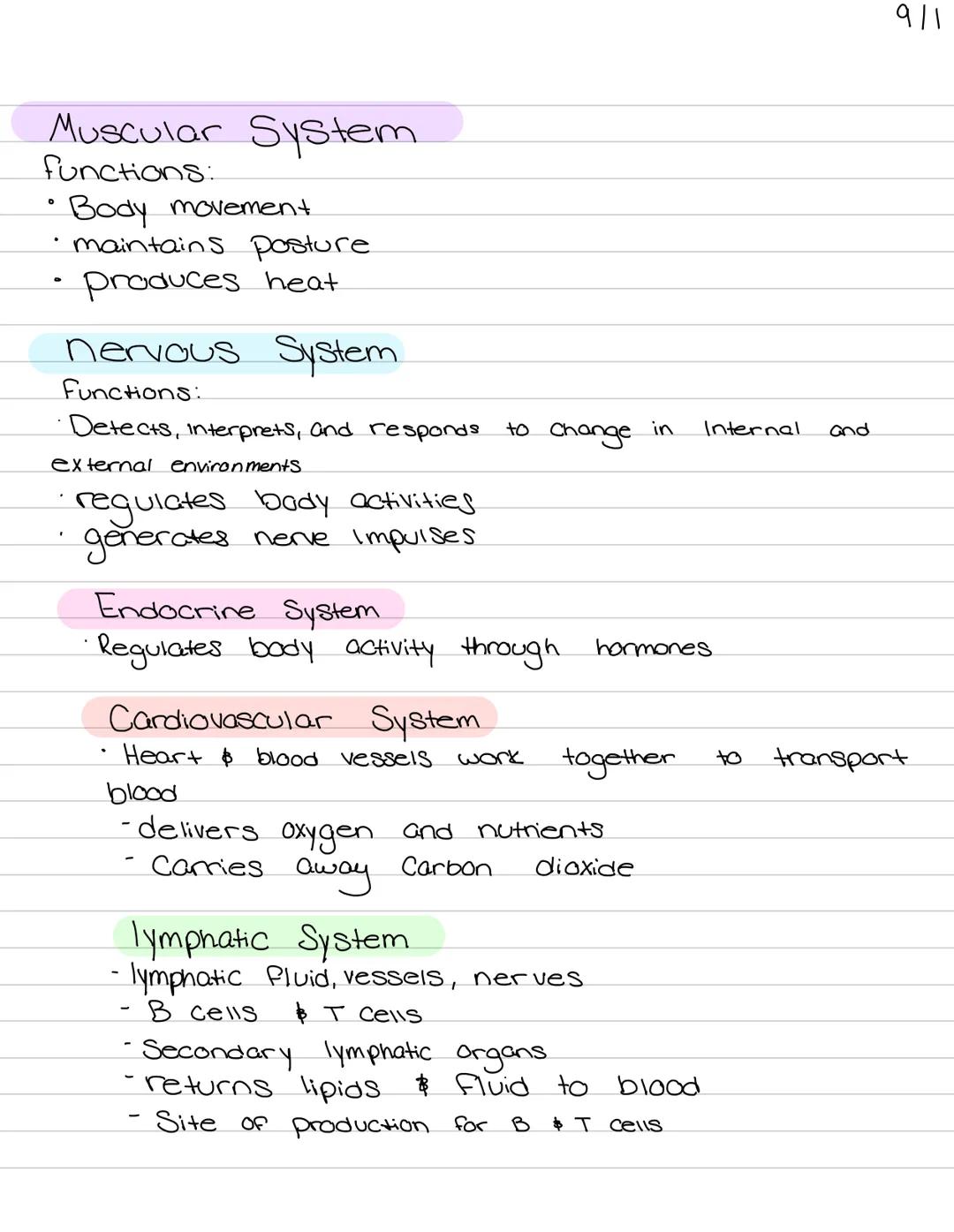 # Orientation of
## the human body 9/1

Muscular System
functions:
• Body movement
maintains posture
produces heat

nervous System
Functions