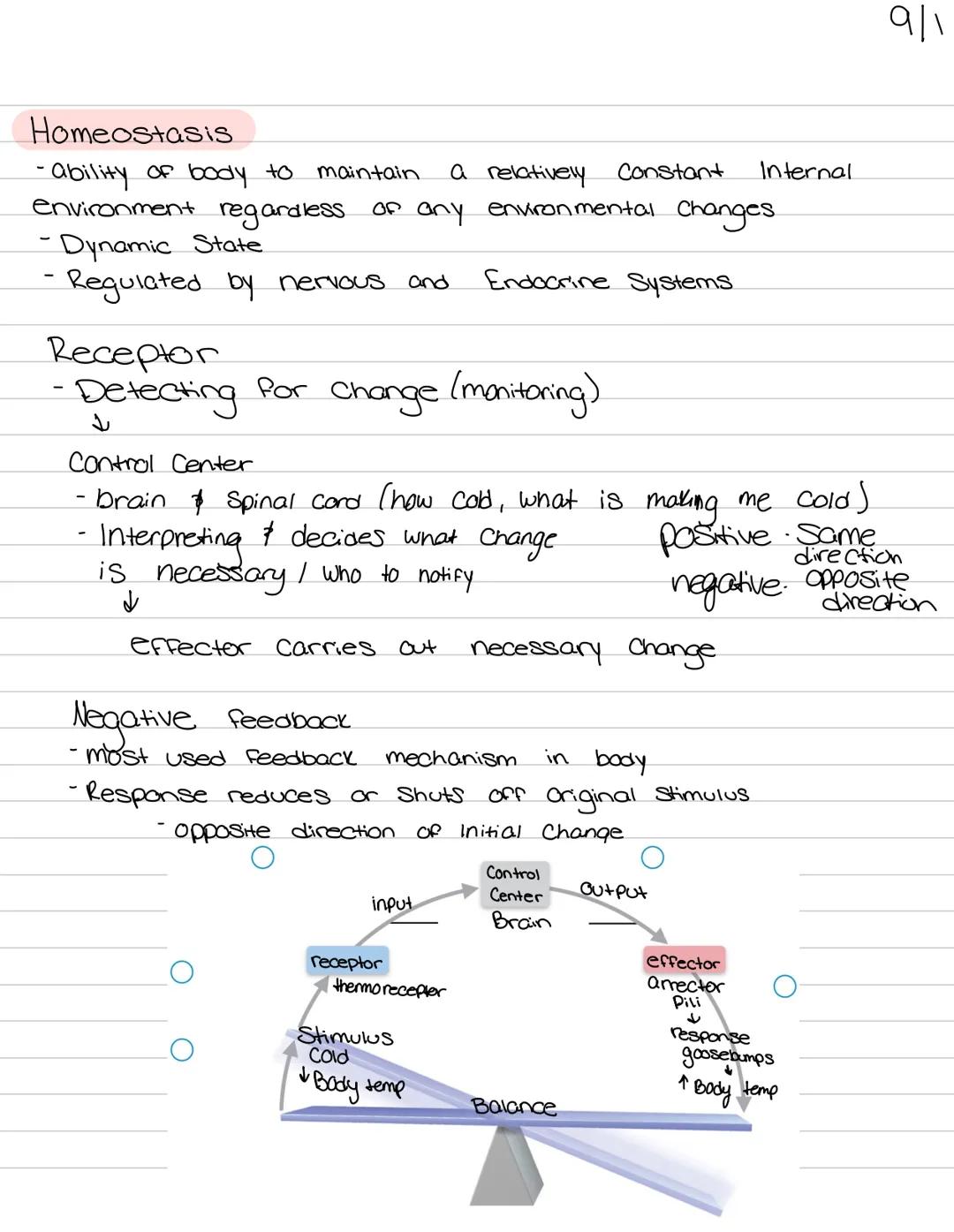 # Orientation of
## the human body 9/1

Muscular System
functions:
• Body movement
maintains posture
produces heat

nervous System
Functions