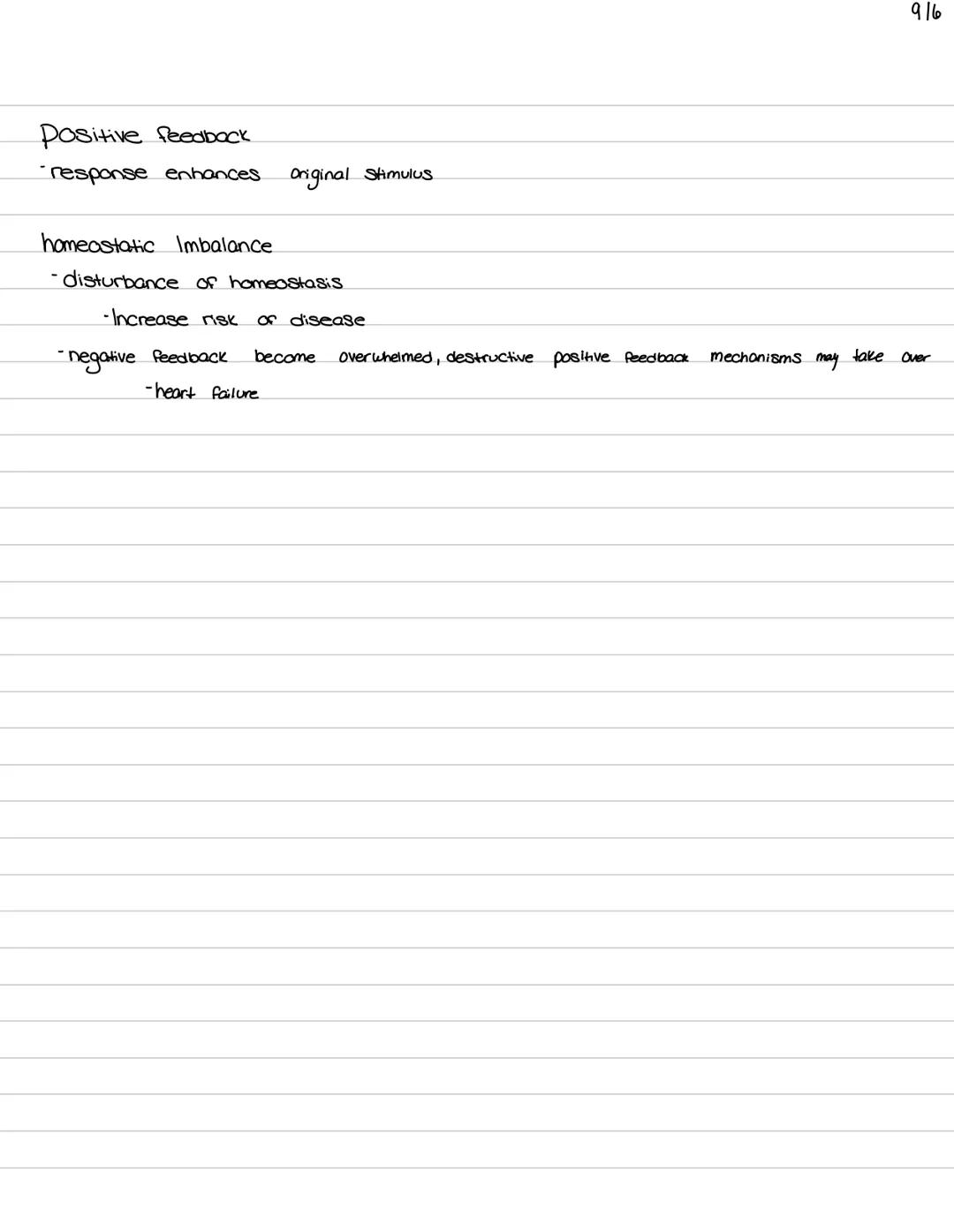 # Orientation of
## the human body 9/1

Muscular System
functions:
• Body movement
maintains posture
produces heat

nervous System
Functions