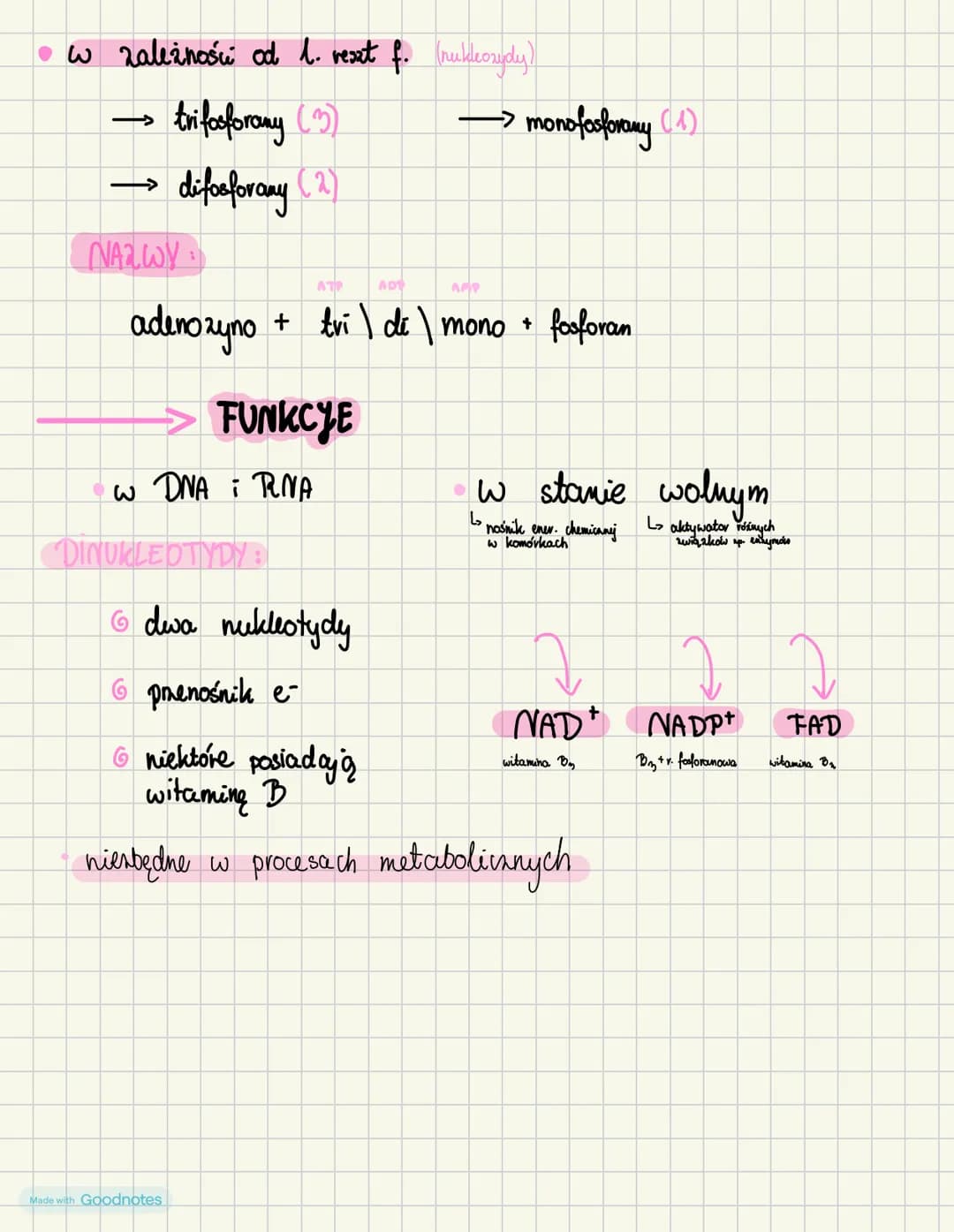 nukleotydy

→budowa

→ pojedyncry nukleotyd

* węgiel (C)
* ryboza lub deoksyryboza
* wodór (H)
* tlen (0)
• 1 zasada azołowa
* azot (N)
* g