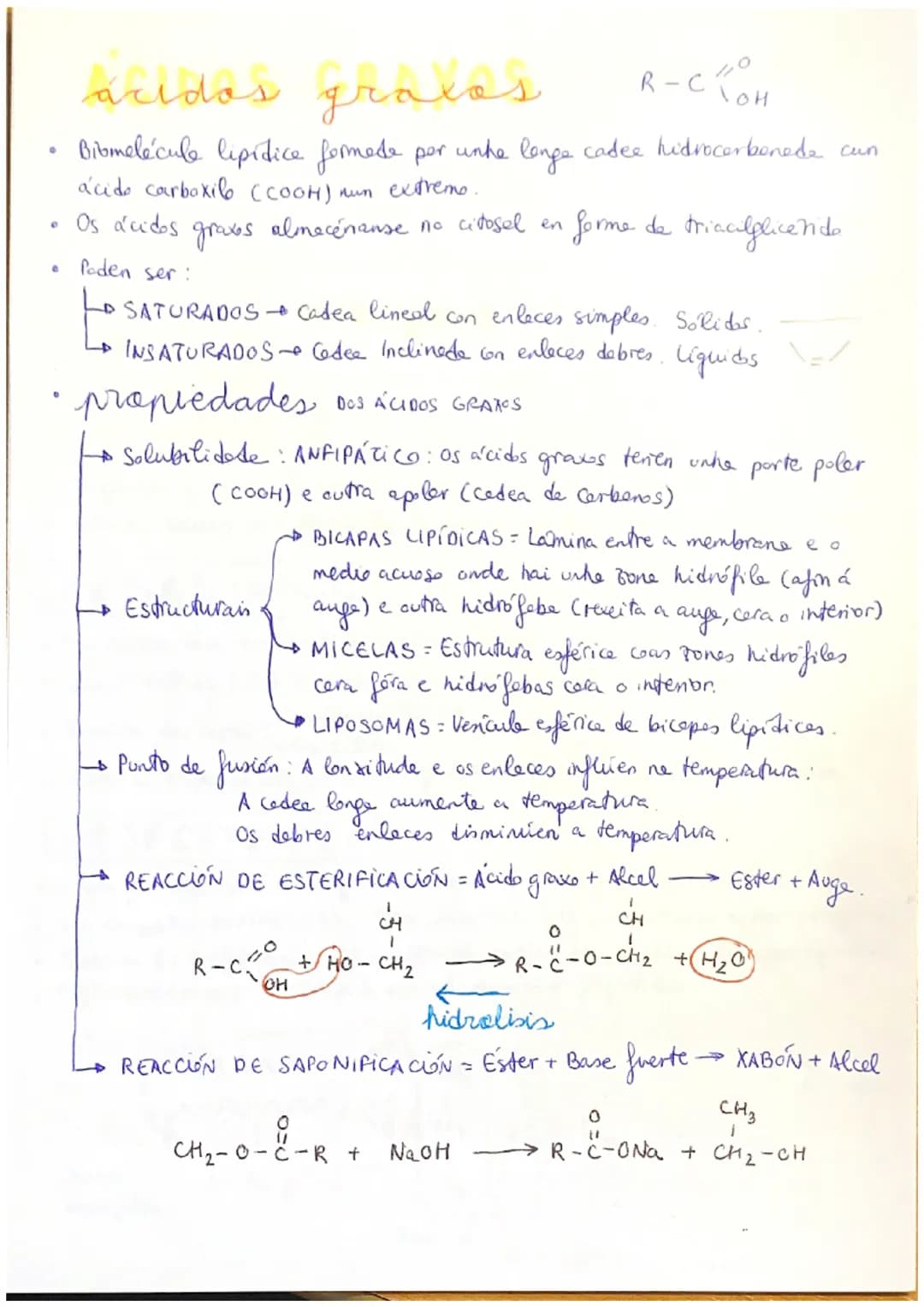 # Lipidos

(LIPIDOS) Biomolécule orgánice formade per C, H e O.

propiedades

→ Diversas estruturas e funcións.

→ Insolubres en auge e outr