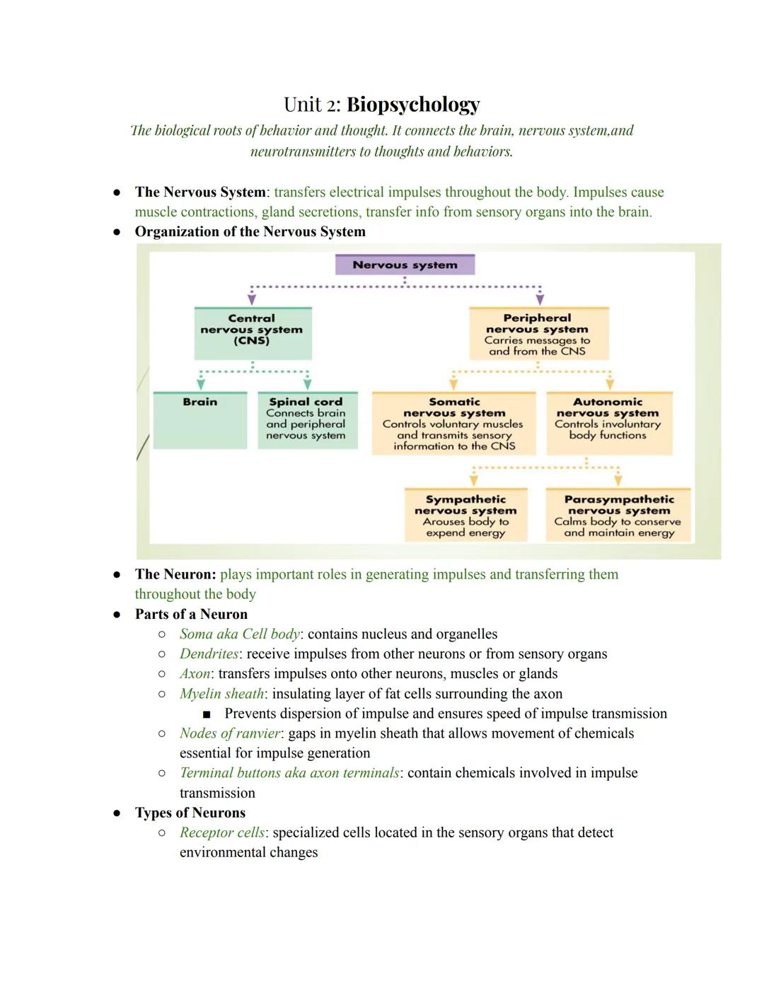 # Unit 2: Biopsychology

The biological roots of behavior and thought. It connects the brain, nervous system,and
neurotransmitters to though