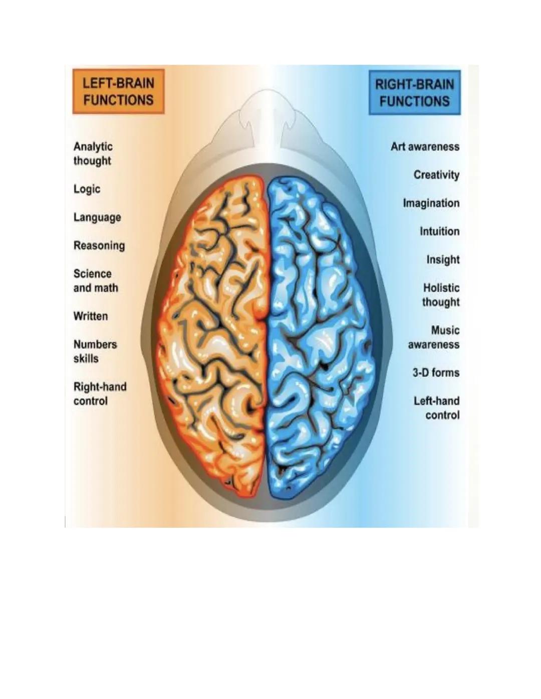 # Unit 2: Biopsychology

The biological roots of behavior and thought. It connects the brain, nervous system,and
neurotransmitters to though