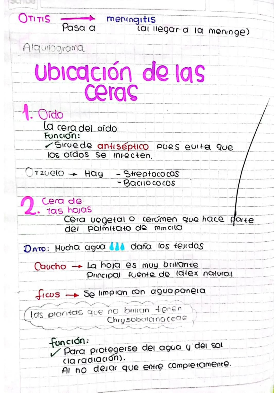 13 de Julio de 2023
Scribe
# lipidos simples
## ceras / Seras
-Lipido Simple

- La materia prima para elaborar ceras es el
Palmitato de miri