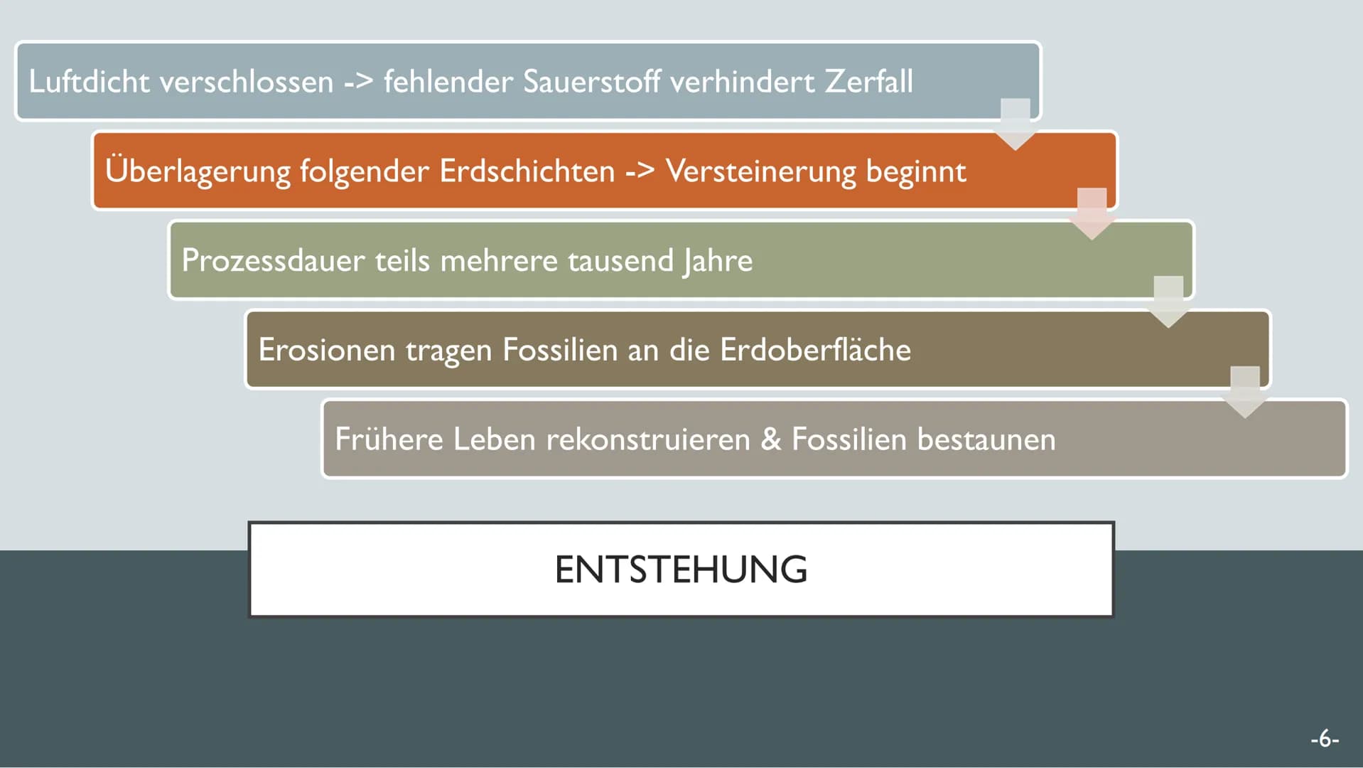 # FOSSILIEN

20.01.22

Chantal Rehmet & Ylva Liese GLIEDERUNG

Was sind
Fossilien?

Charles Darwin

Evolutions-
theorie

Entstehung

Altersb