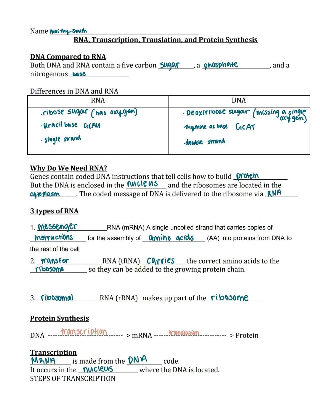 Name mai Thy Smith

RNA, Transcription, Translation, and Protein Synthesis

DNA Compared to RNA
Both DNA and RNA contain a five carbon sugar