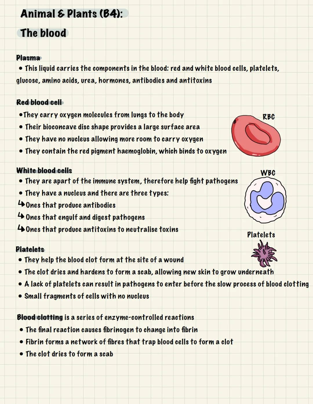 # BIOLOGY
UNIT 1: CELL BIOLOGY

Cell Structure (B1):
Eukaryotic- Membrane-bound organelles Prokaryotic- Small, unicellular organism
Nucleus
