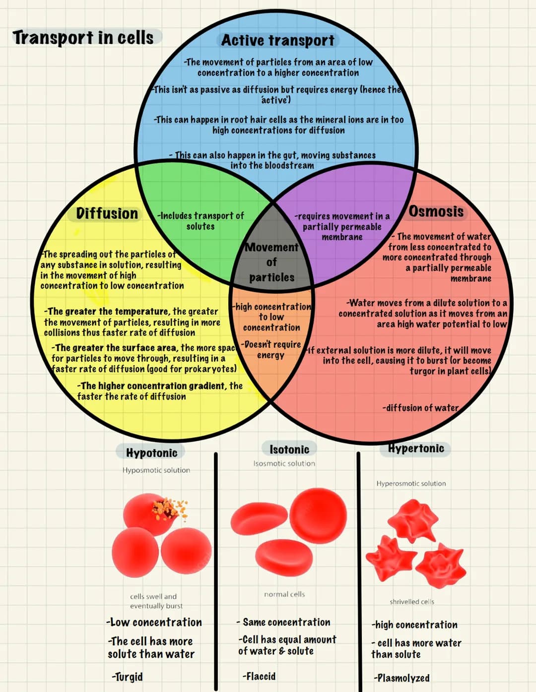 # BIOLOGY
UNIT 1: CELL BIOLOGY

Cell Structure (B1):
Eukaryotic- Membrane-bound organelles Prokaryotic- Small, unicellular organism
Nucleus
