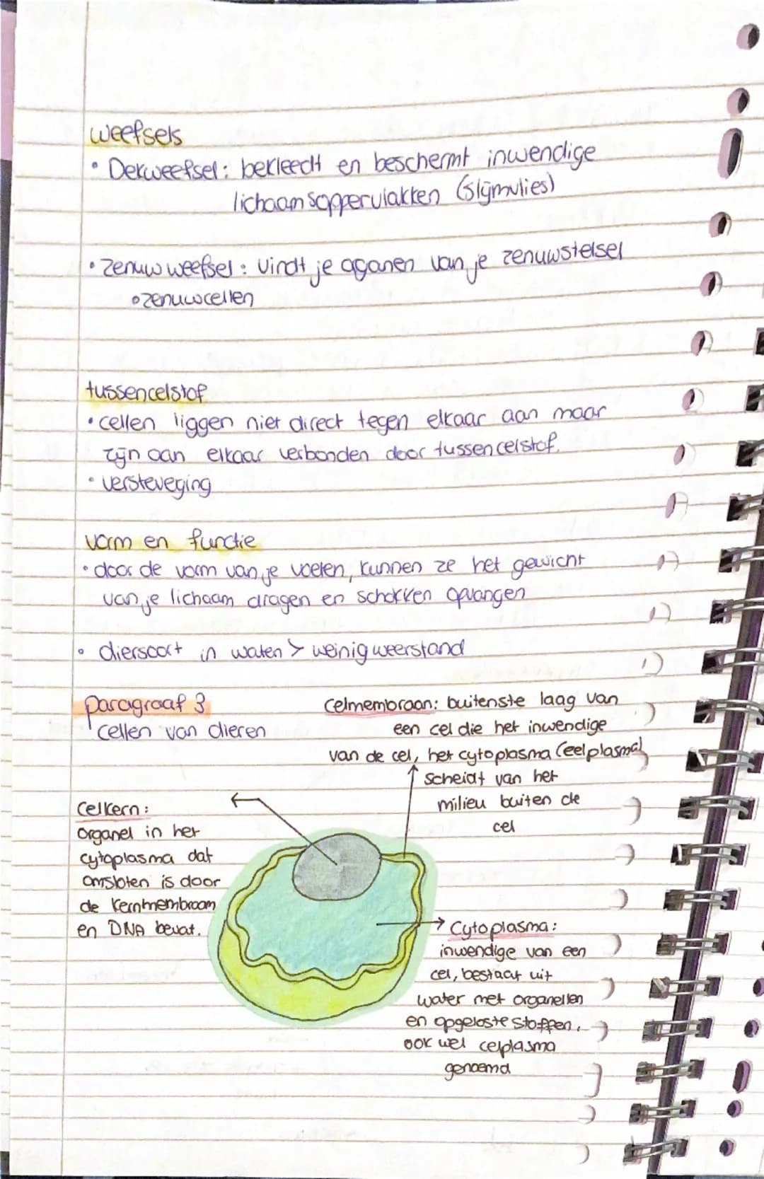 # Biologie Hoofdstuk 1

basisstof 1: biologie is overal

Leercbelen: Fje kunt beschrijven wat biologie is en
1.1.19 uitleggen dat biologie o