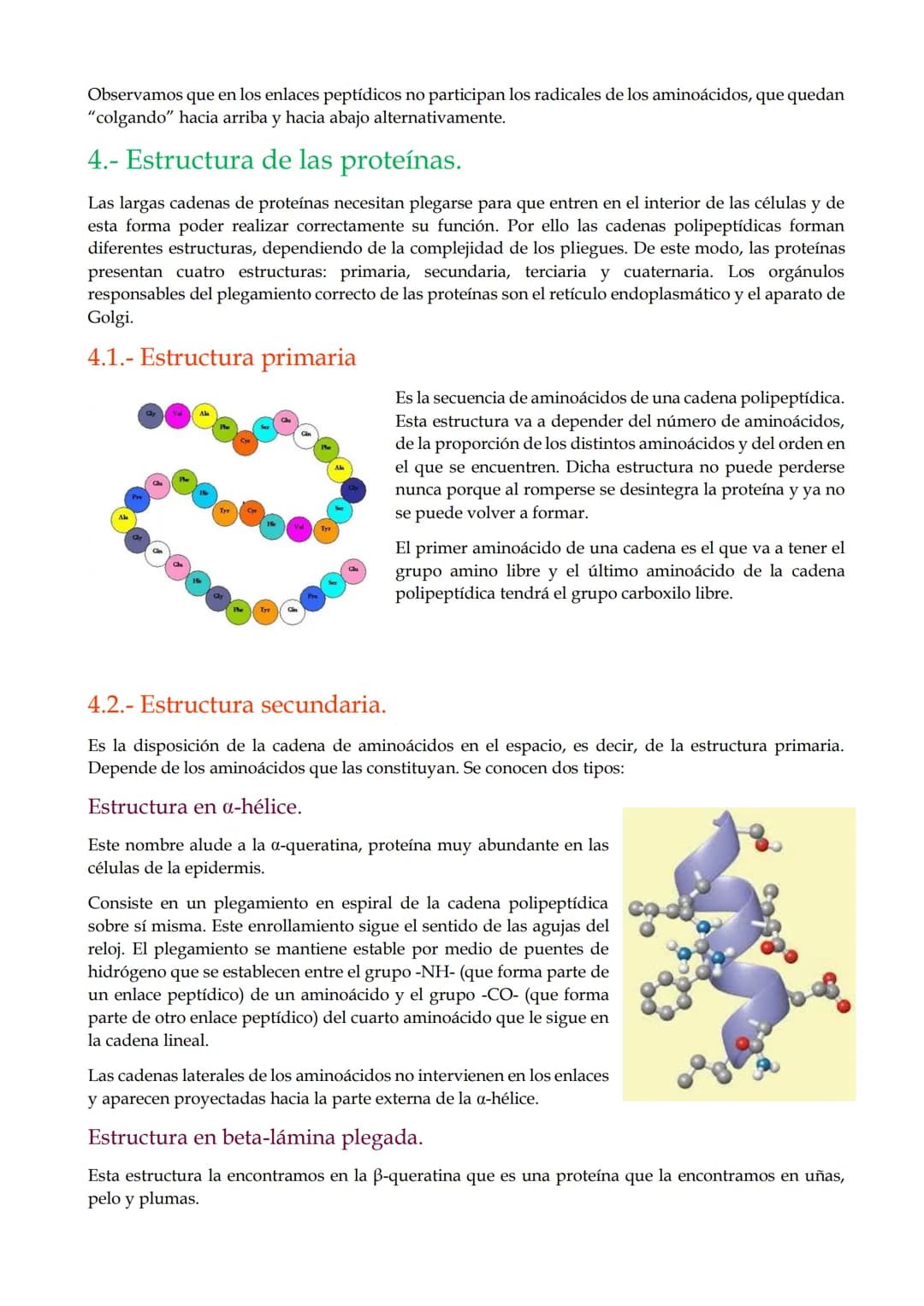 TEMA 9. Proteínas.

1.- Características generales de las proteínas.

2.- Los aminoácidos.

3.- El enlace peptídico.

4.- Estructura de las p